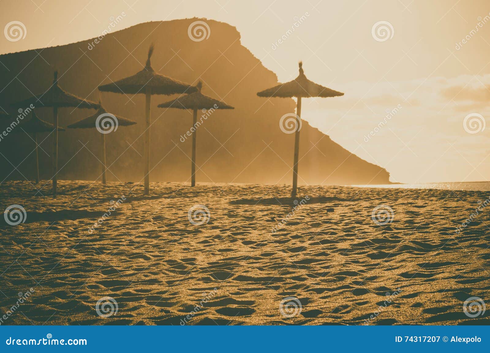 thatch palapa umbrellas at playa la tejita