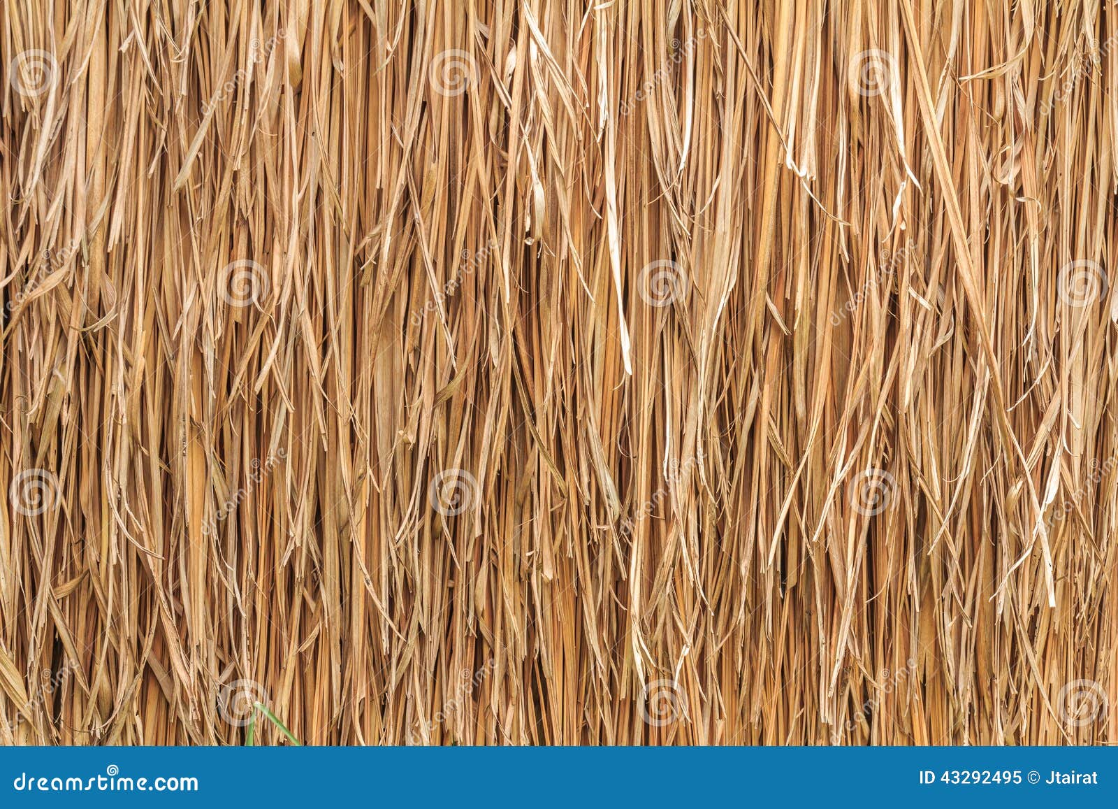 Thatch Stock Photo | CartoonDealer.com #14603826