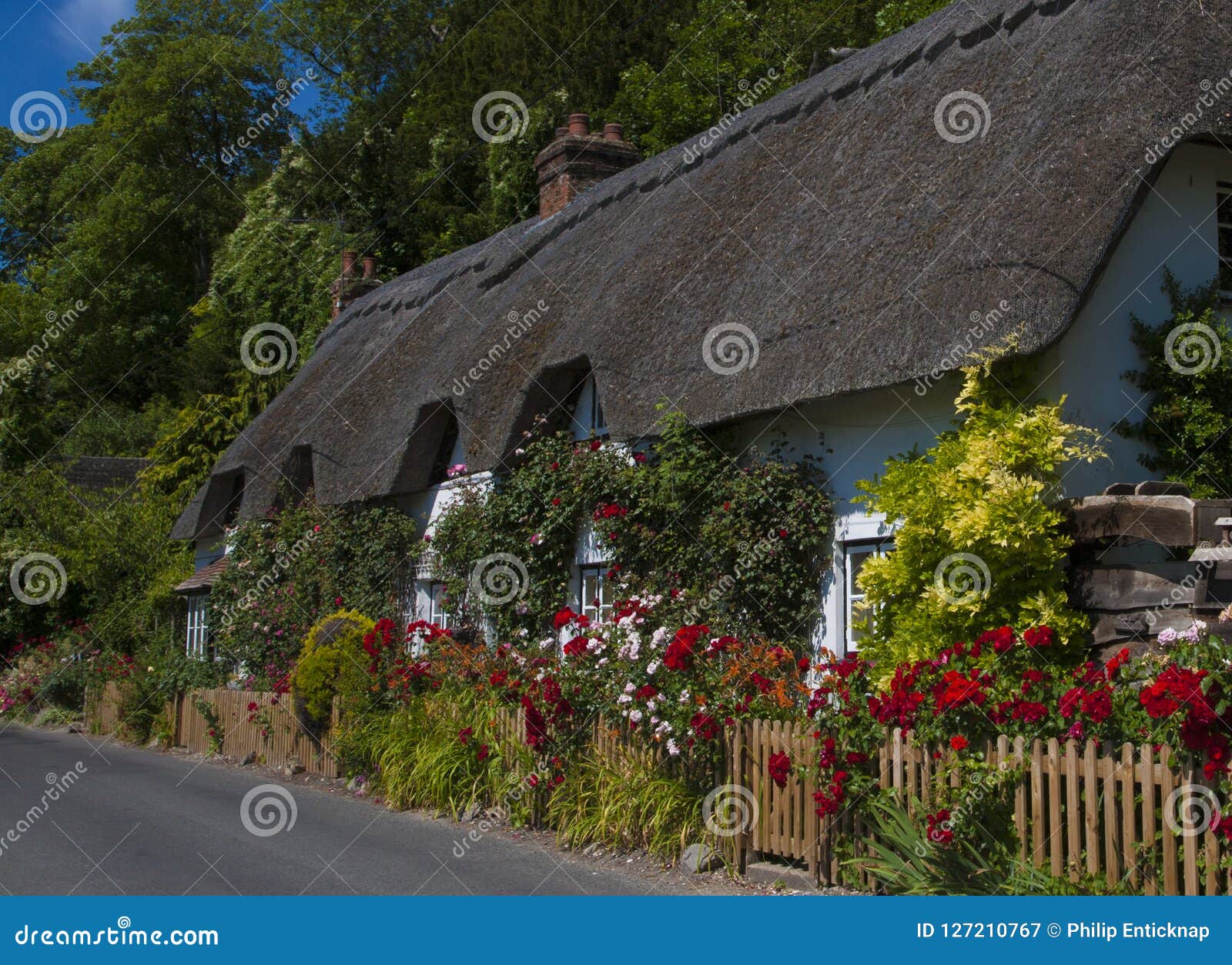 Thatched Cottage Wherwell Hampshire England Stock Image Image