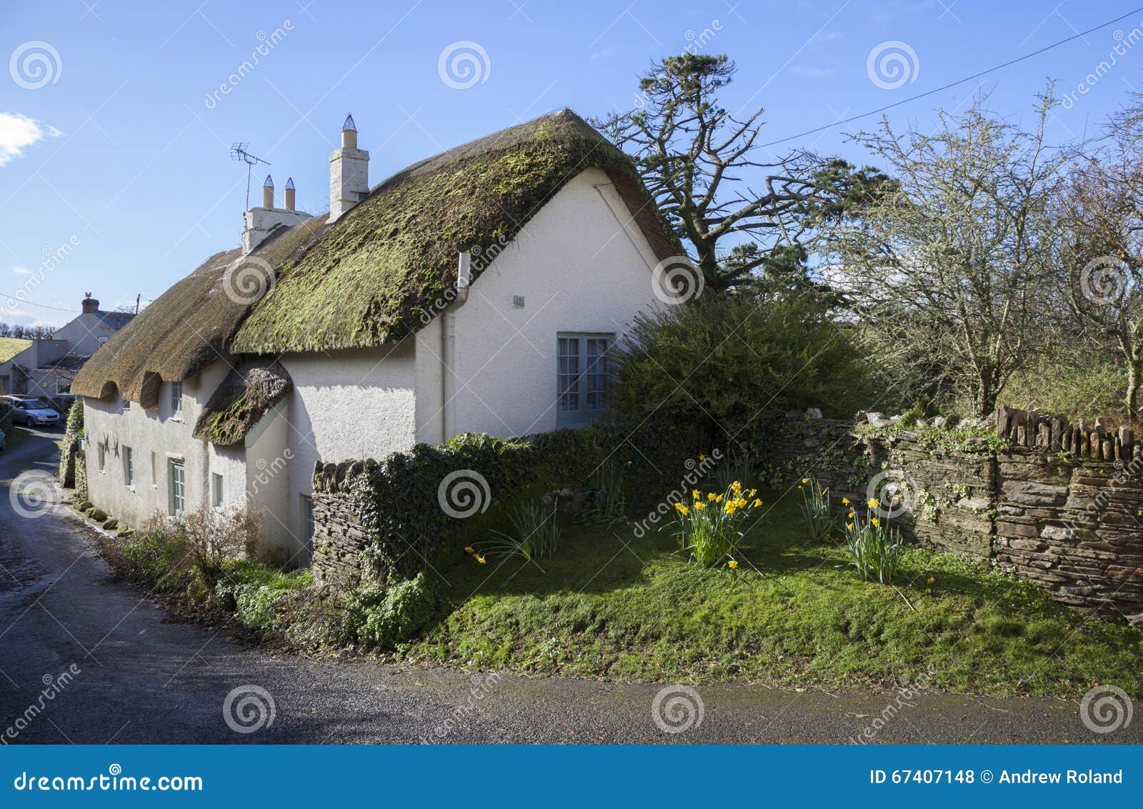 Thatched Devonshire Cottage, England Stock Photo Image of ayrmer