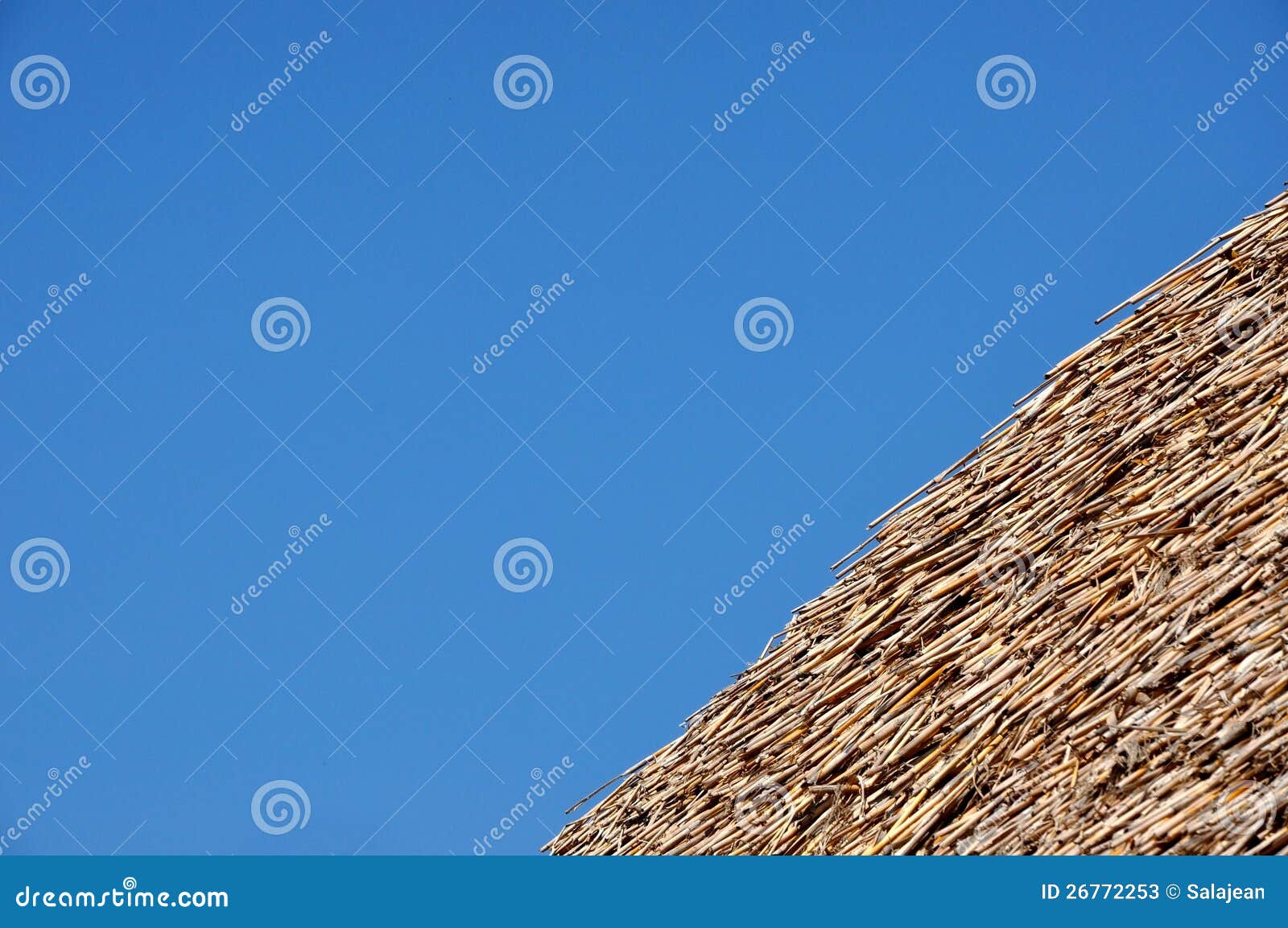 1,305 Thatched Roof Detail Photos Free & RoyaltyFree Stock Photos
