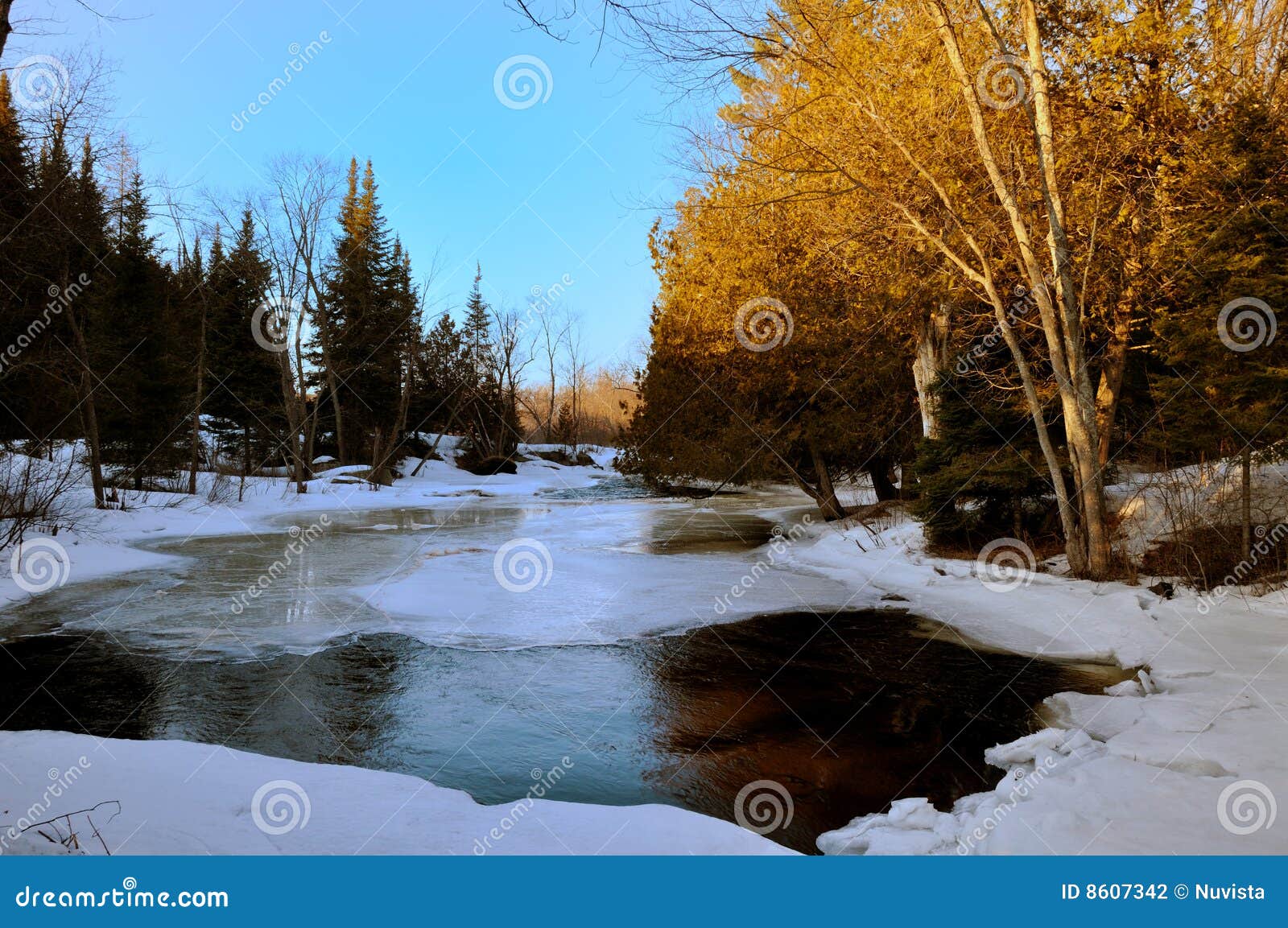 thawing creek