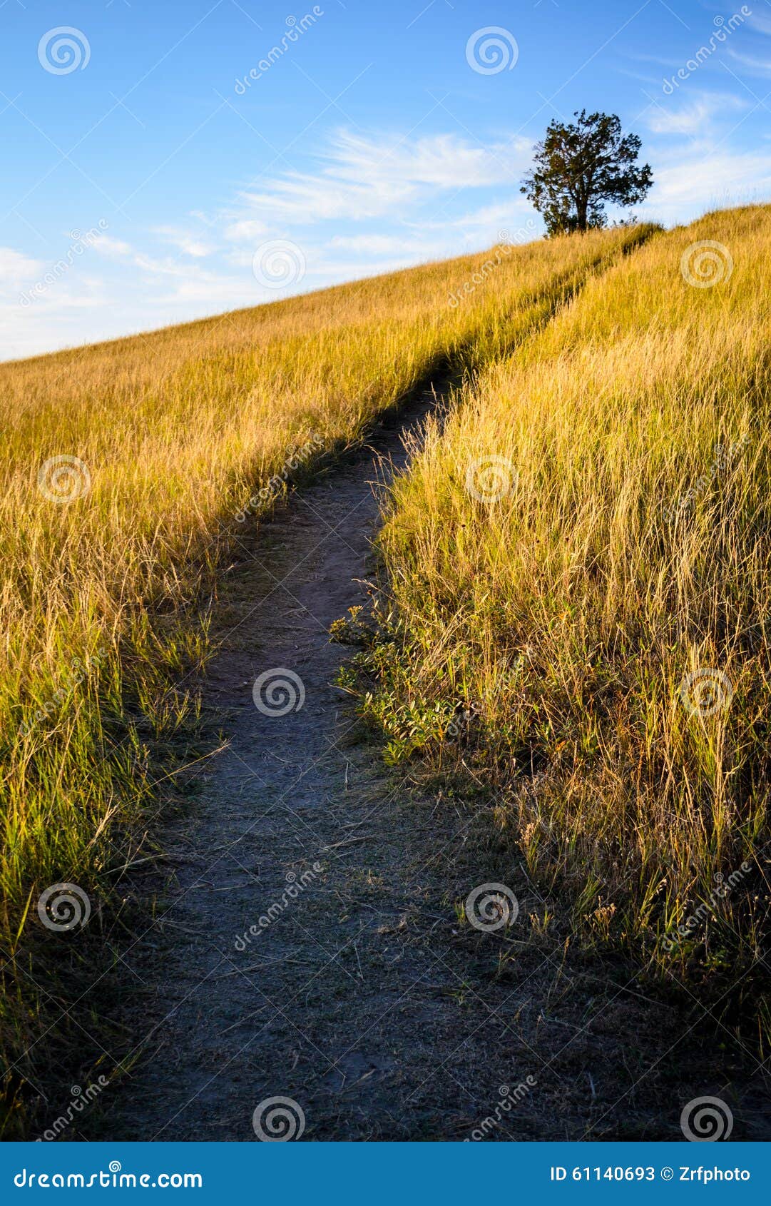 Theodore Roosevelt National Park,. Theodore Roosevelt National Park Trail op Weideheuvel