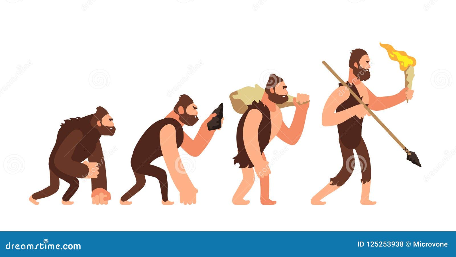 theory of human evolution. man development stages. anthropology  