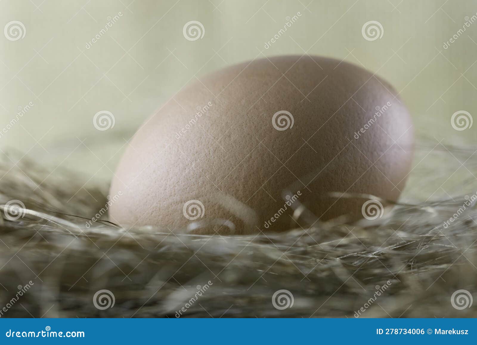 There is a Boiled Egg in an Artificially Arranged Nest Stock Photo