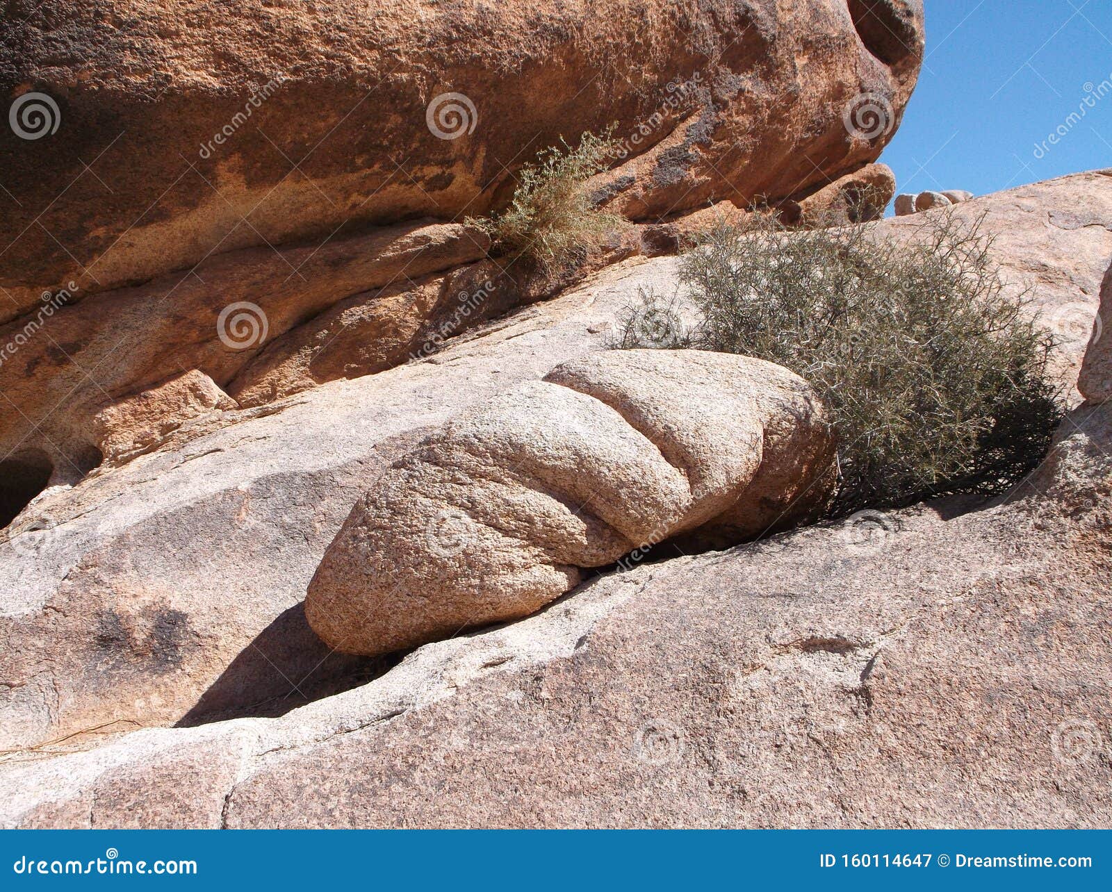 unique stones in joshua trees natiional park