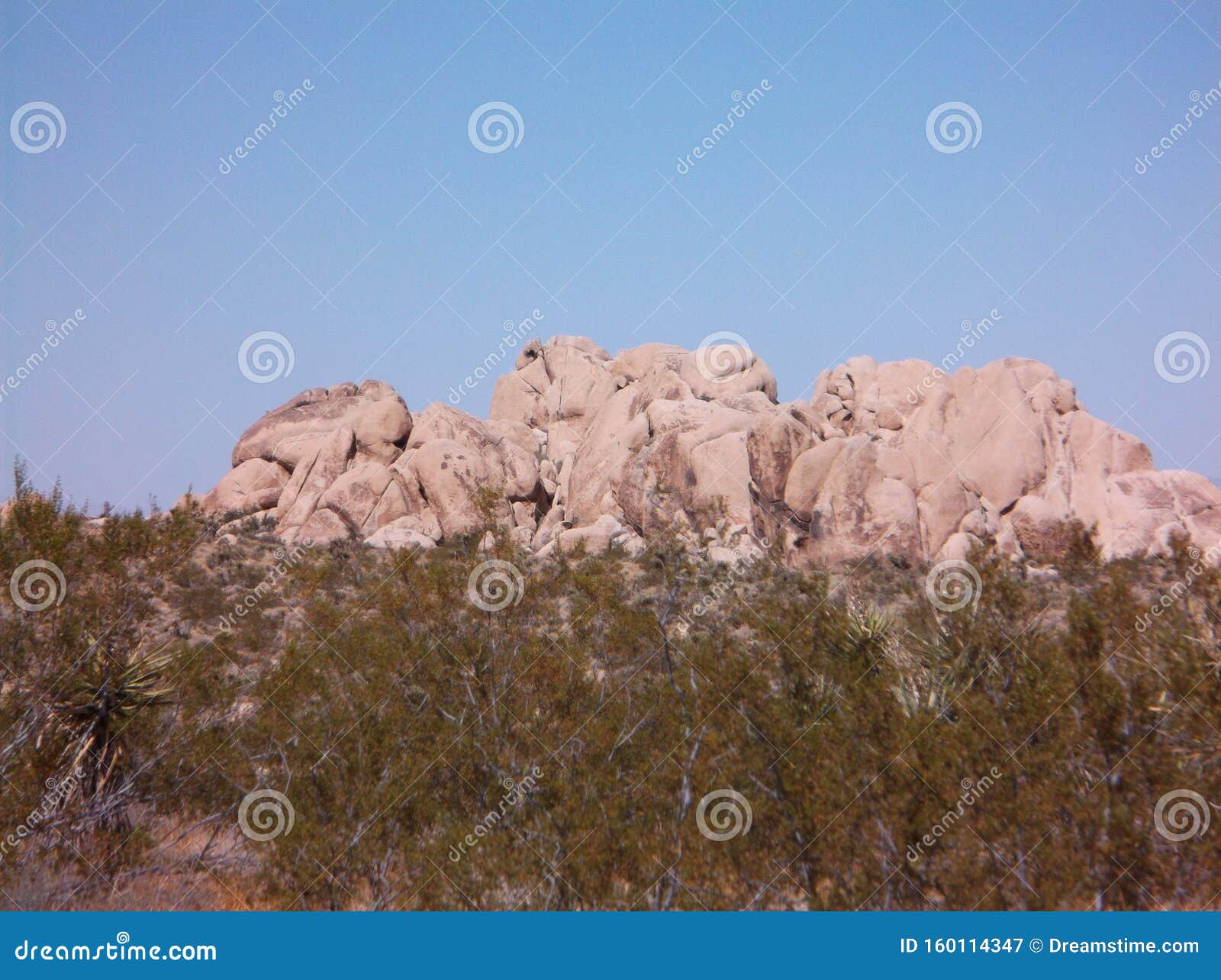 unique stones in joshua trees natiional park