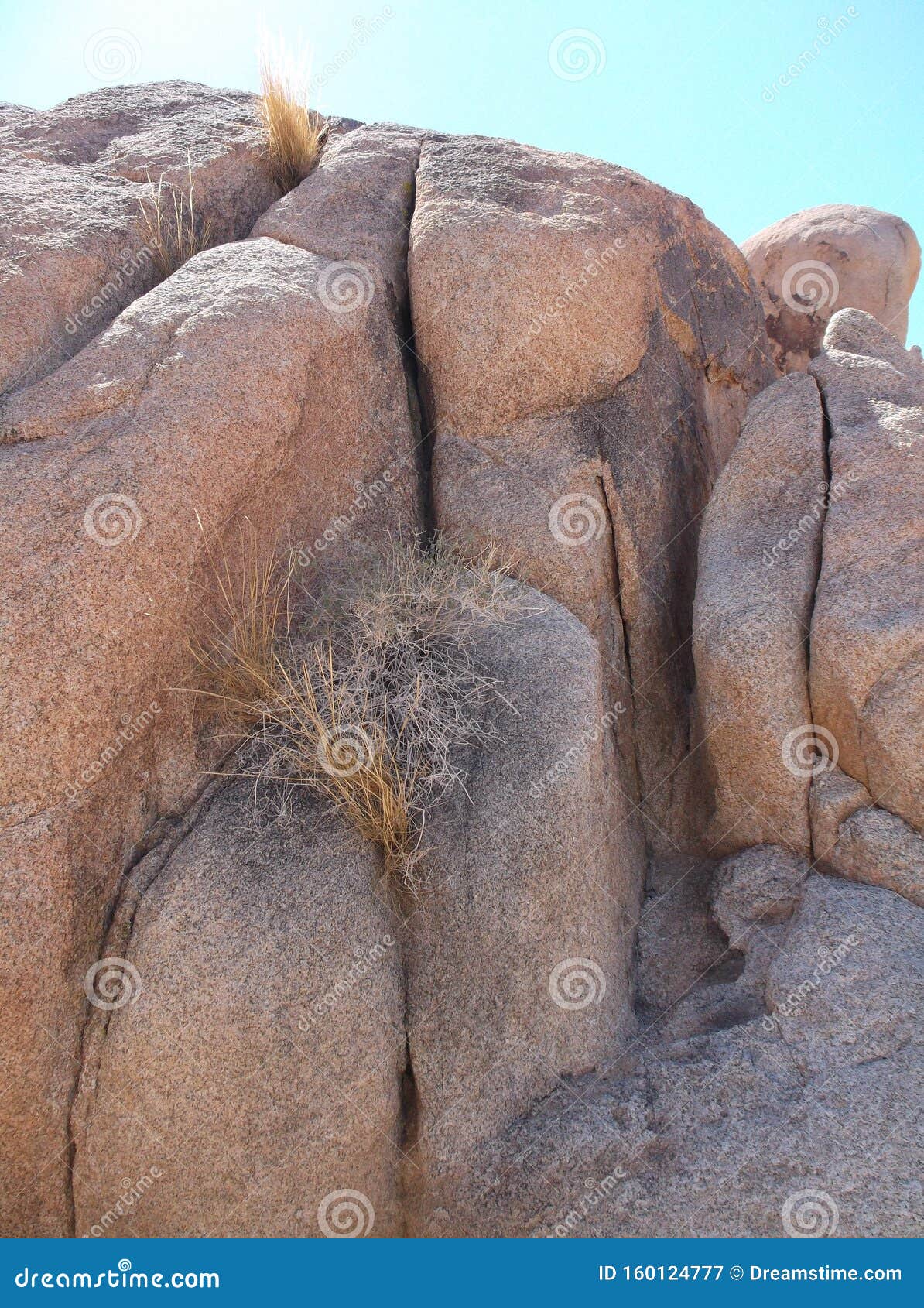 unique stones in joshua trees natiional park