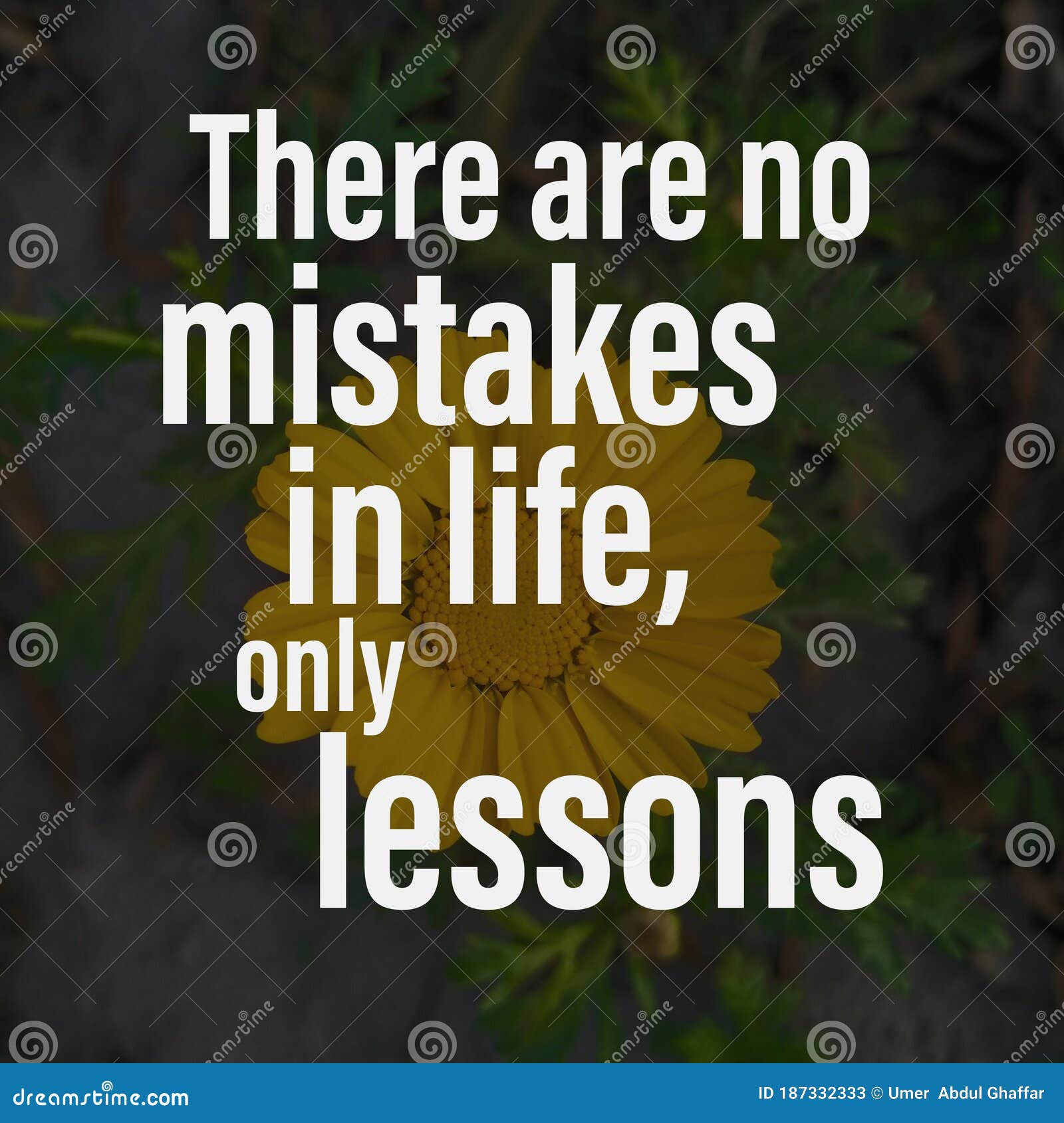 There Are No Mistakes, Only Learning