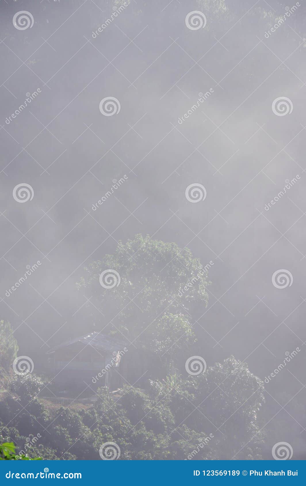 background with dense fog
