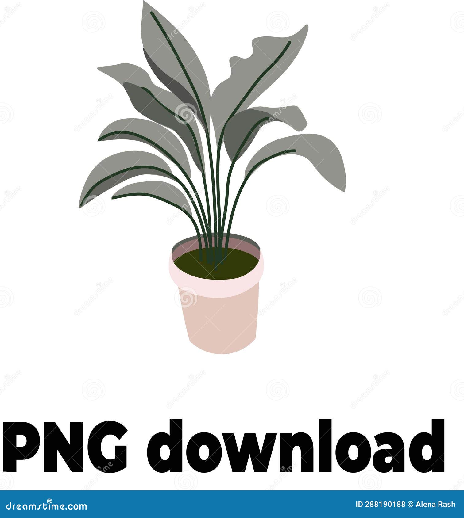 Plant Png Home Plant Leaves Tree Plants Green Relaxhome Things Nature