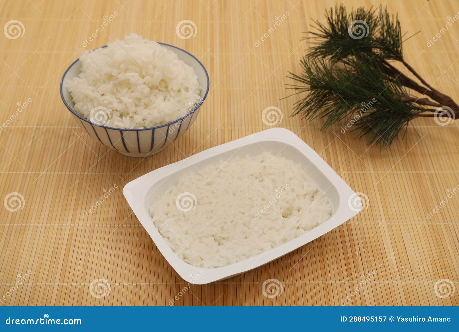 Packaged Rice is Rice that Has Been Packed in an Airtight Container so