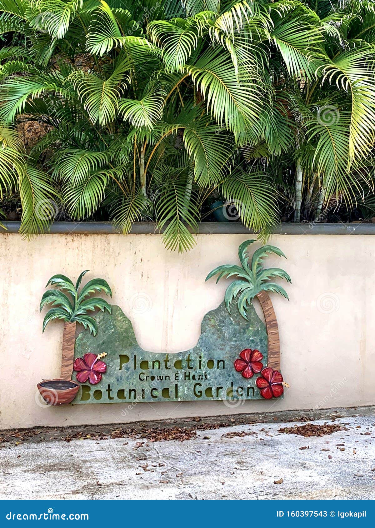 St Thomas Us Virgin Islands Botanical Garden Sign Editorial Stock Photo ...