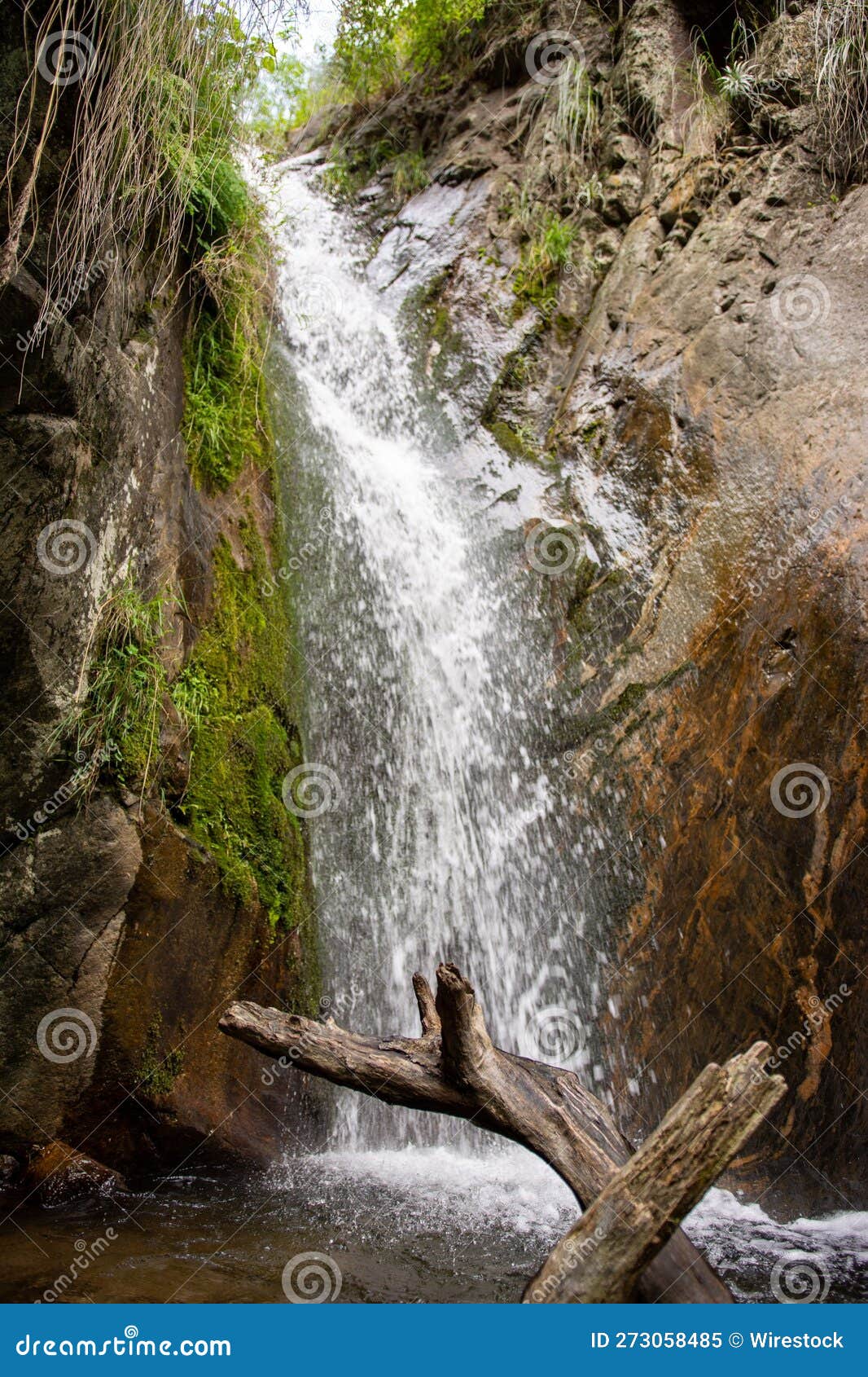 there is a waterfall with a tree in the middle of it
