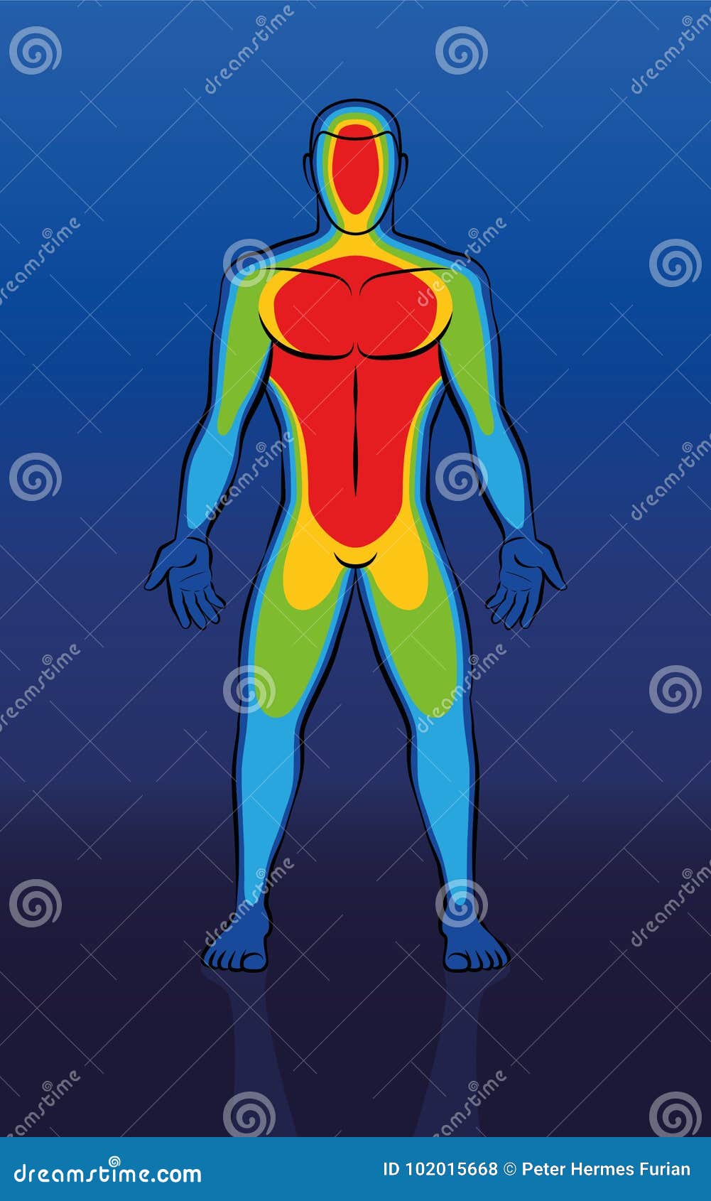 thermal image male body front view