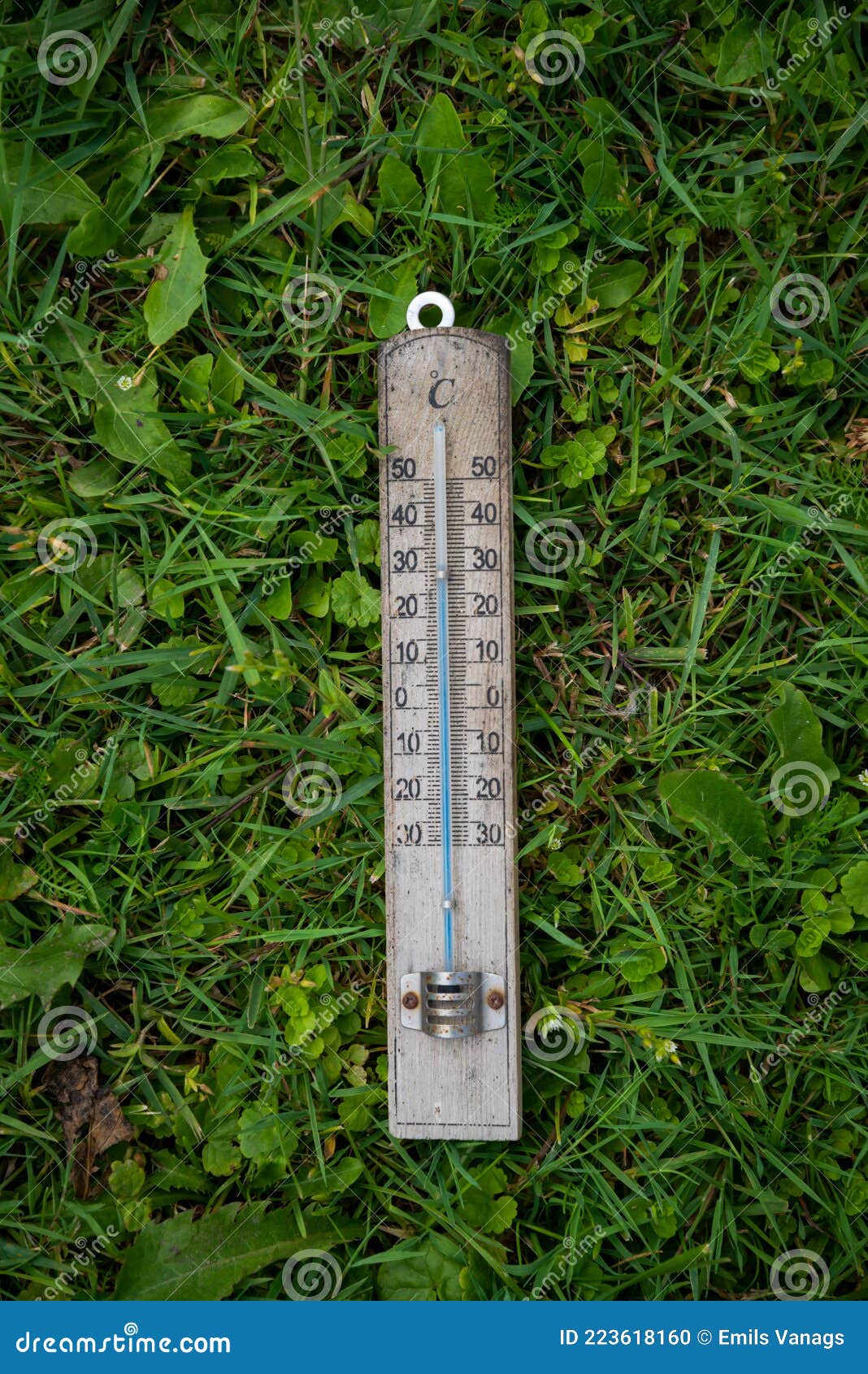 thermometer on grass top view copy space
