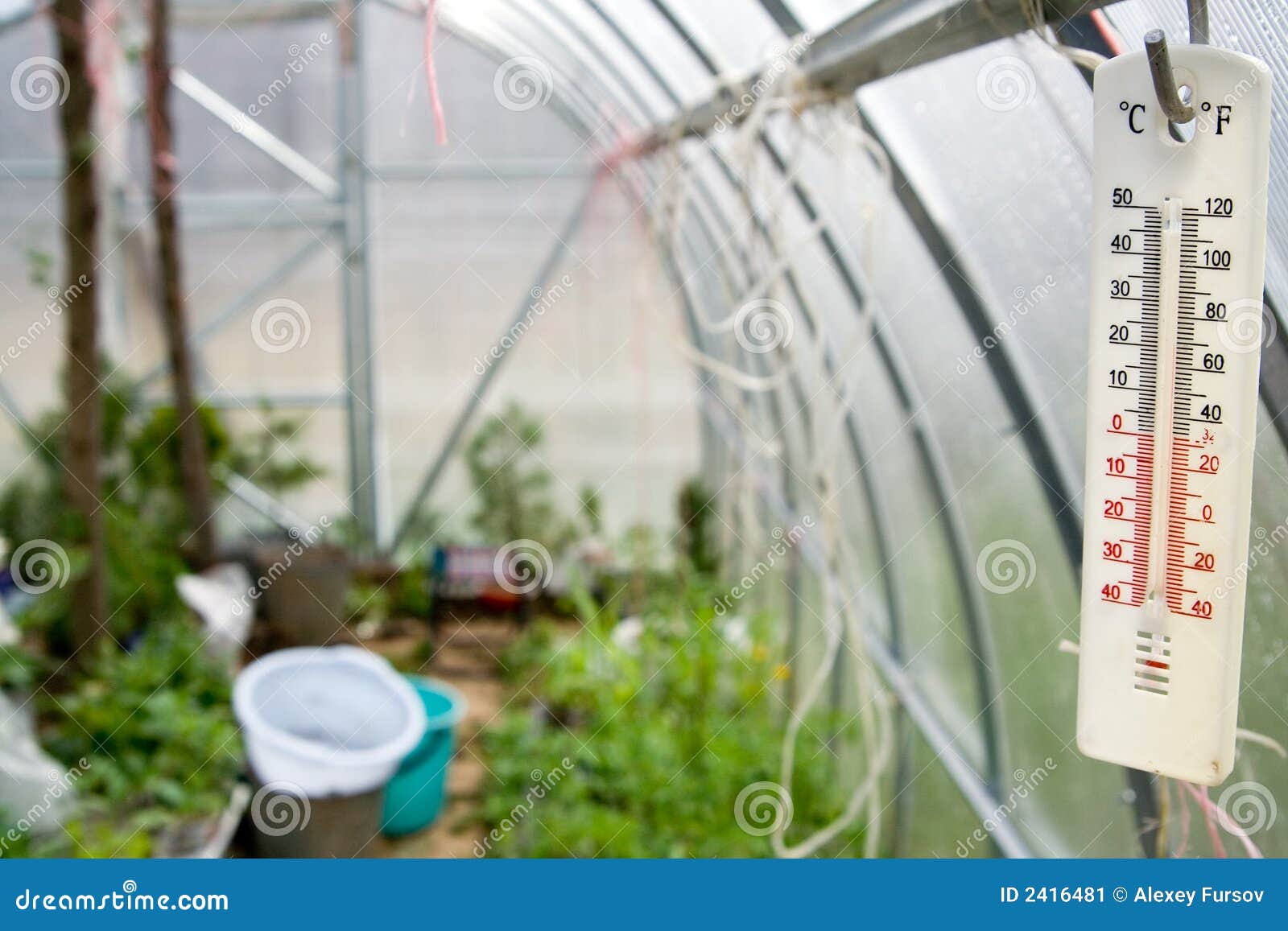 Thermometer in hothouse stock image. Image of forcing 2416481