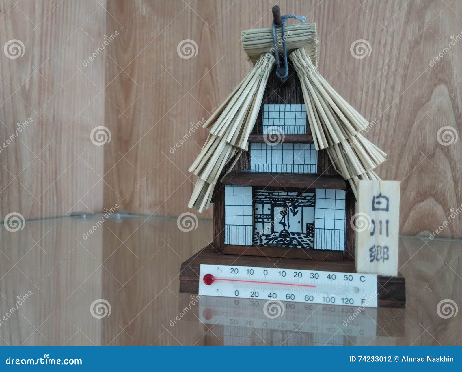 Thermometer house stock photo. Image of house, build 74233012