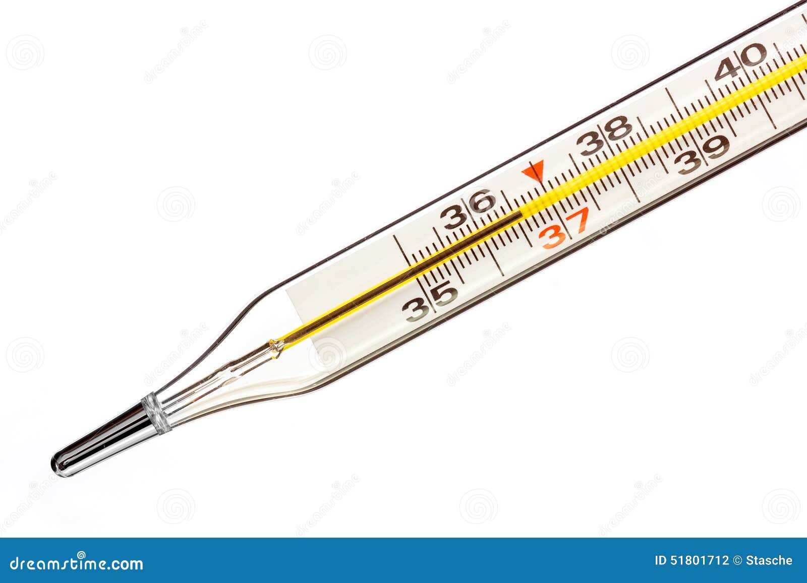 https://thumbs.dreamstime.com/z/thermometer-indicating-normal-healthy-temperature-degrees-celsius-mercury-model-isolated-white-51801712.jpg