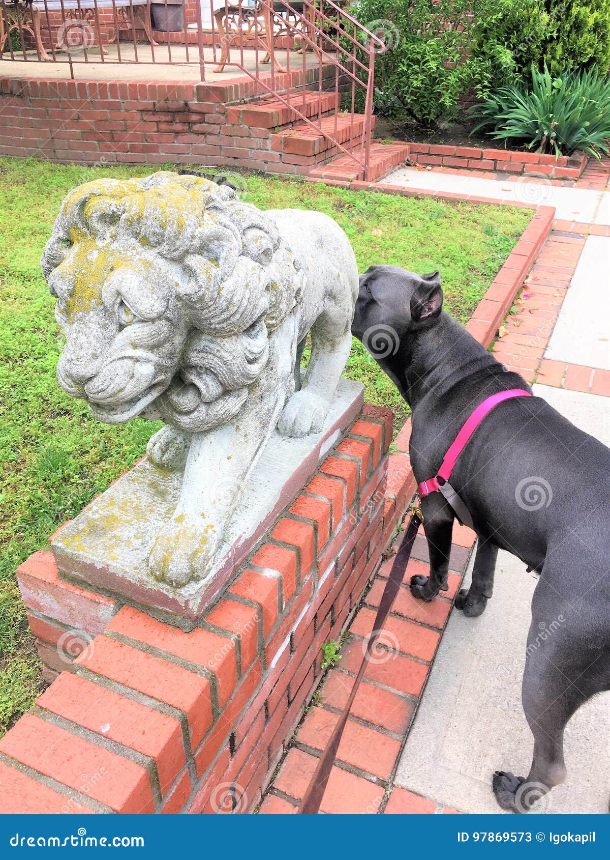 power instinct dog statue lion
