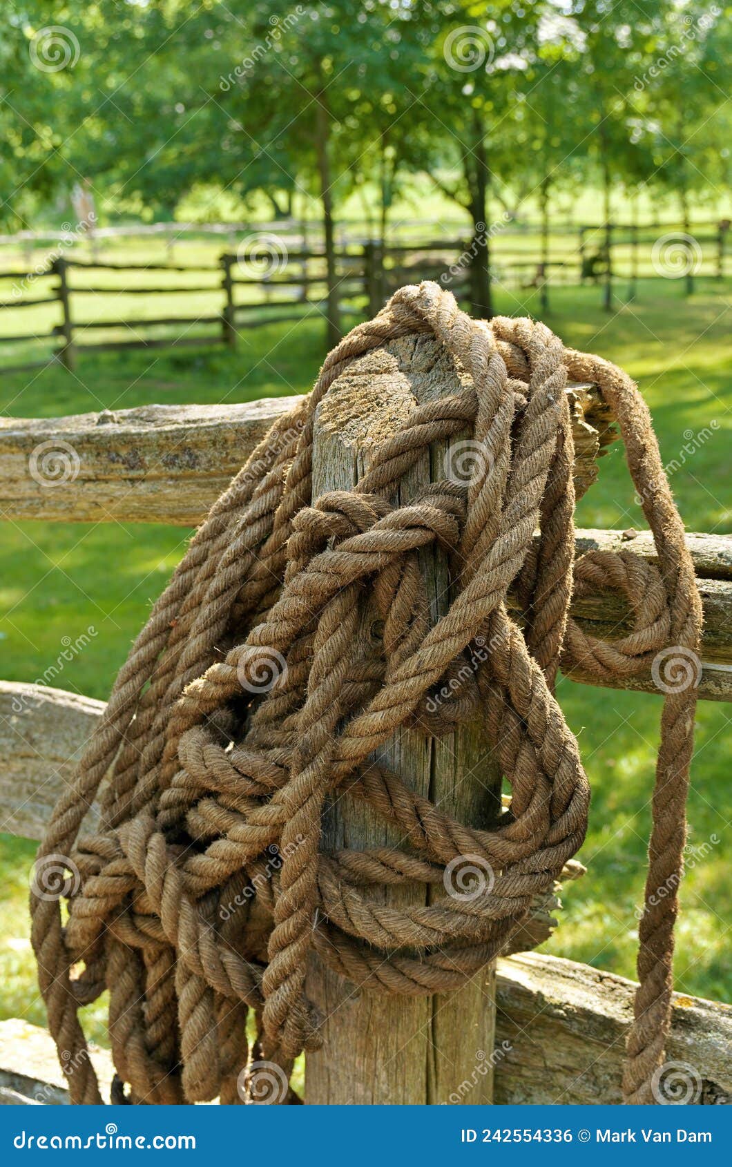 Thick Coiled Manila Rope Hanging Over a Wooden Fencepost in a Rural Ranch  Setting in Summer Stock Photo - Image of braided, wooden: 242554336