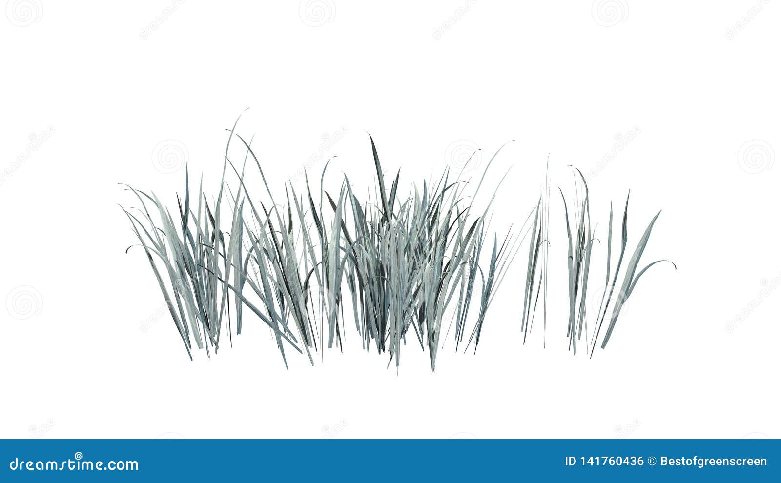 Thick Grass in the winter stock illustration. Illustration of closeup
