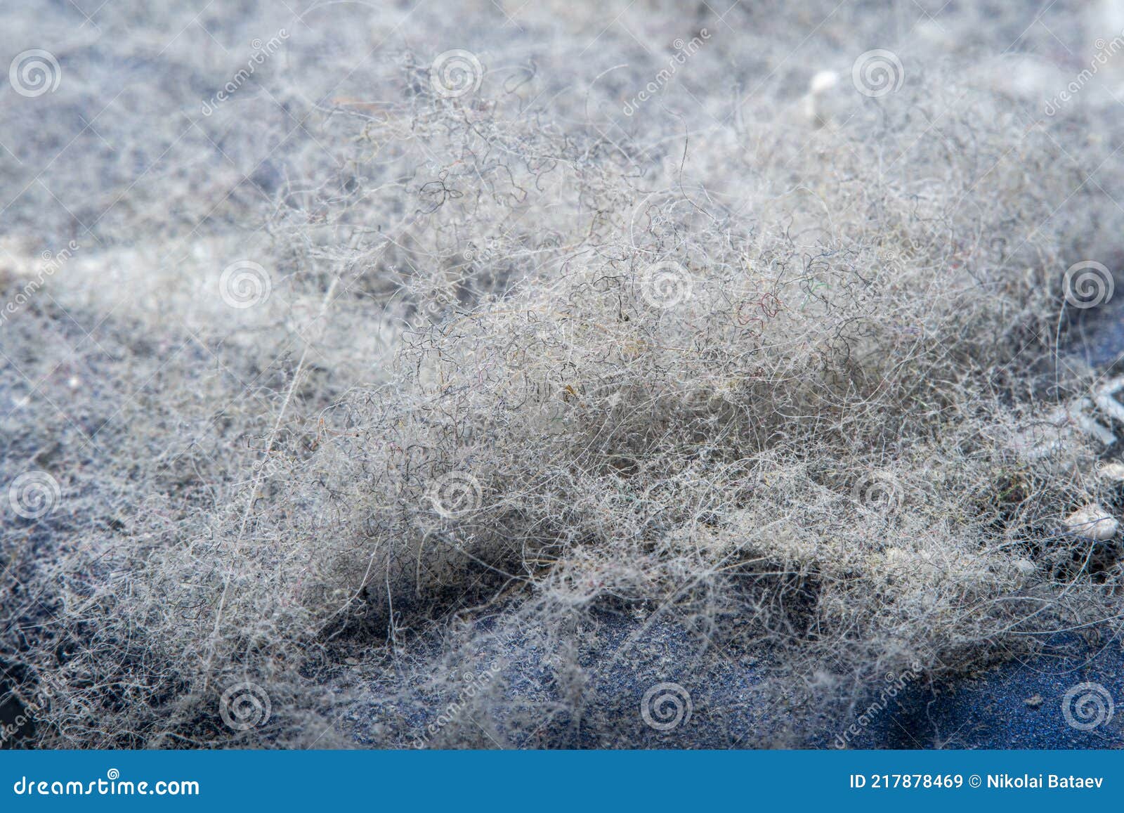 Thick Layer of Dust on the Plastic Surface Stock Image Image of splash, canvas 217878469