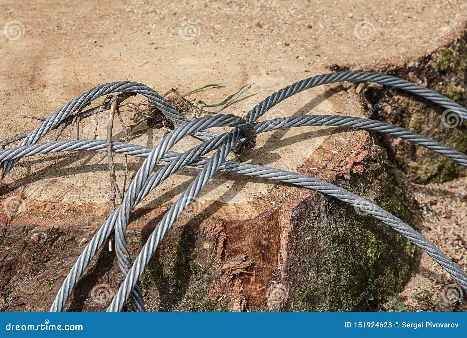 Thick wire Cut Out Stock Images & Pictures - Page 2 - Alamy