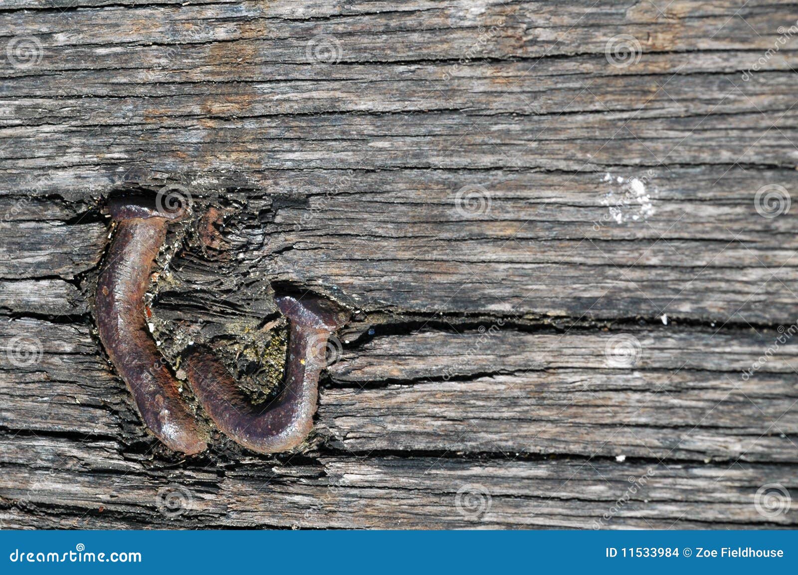 thick-old-nails-embedded-wood-11533984.j