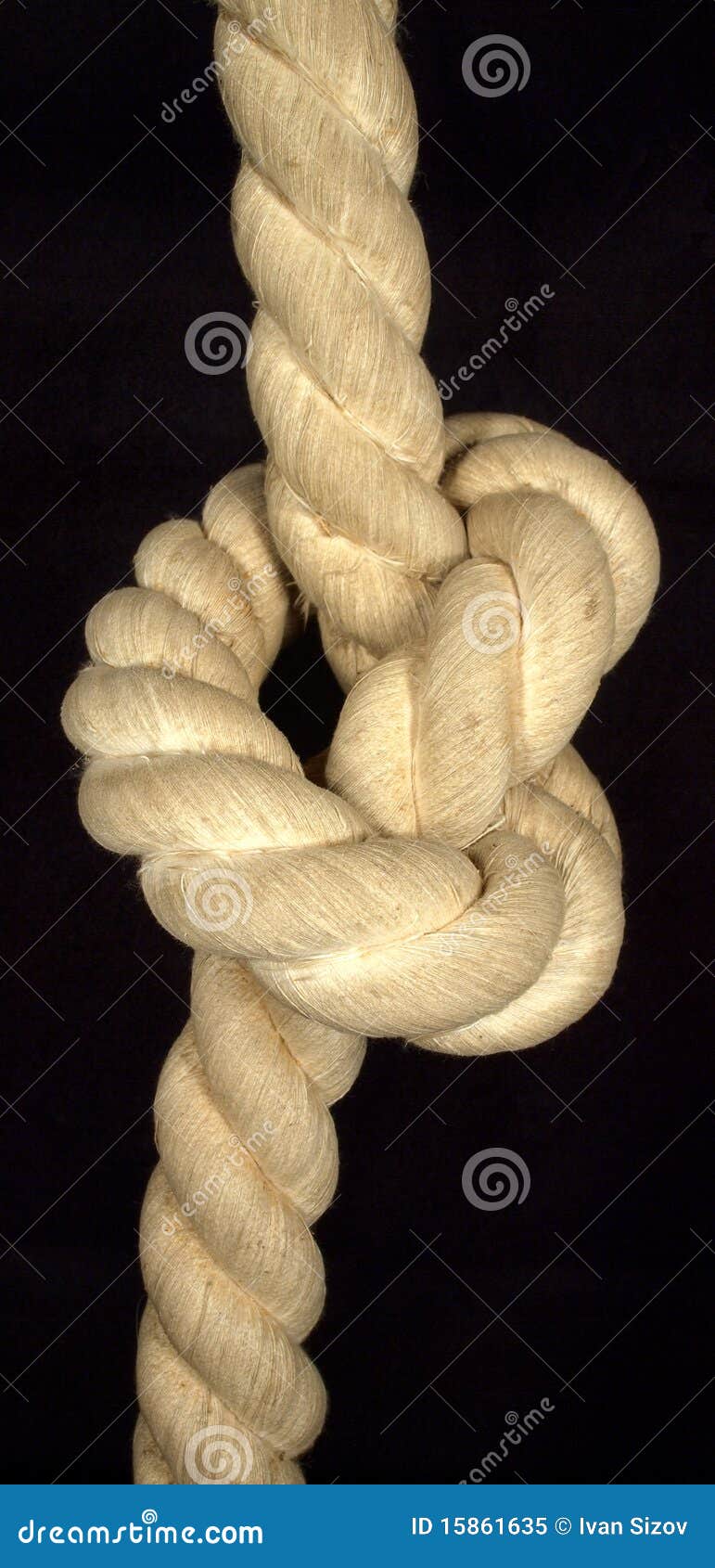 Thick Rope Fastened in the Knot Stock Image - Image of loop, cord