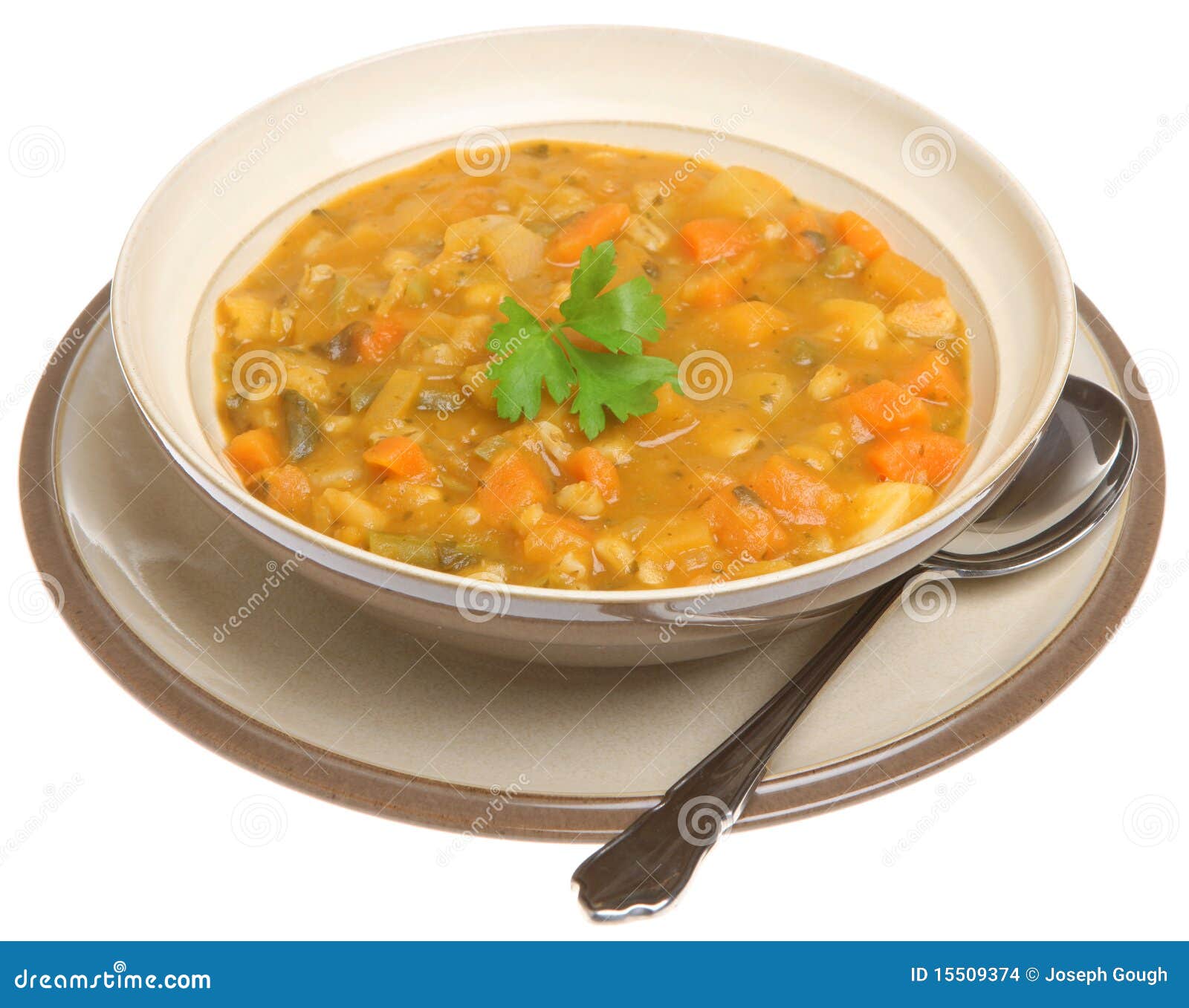 Thick Vegetable Soup stock photo. Image of dish, country - 15509374