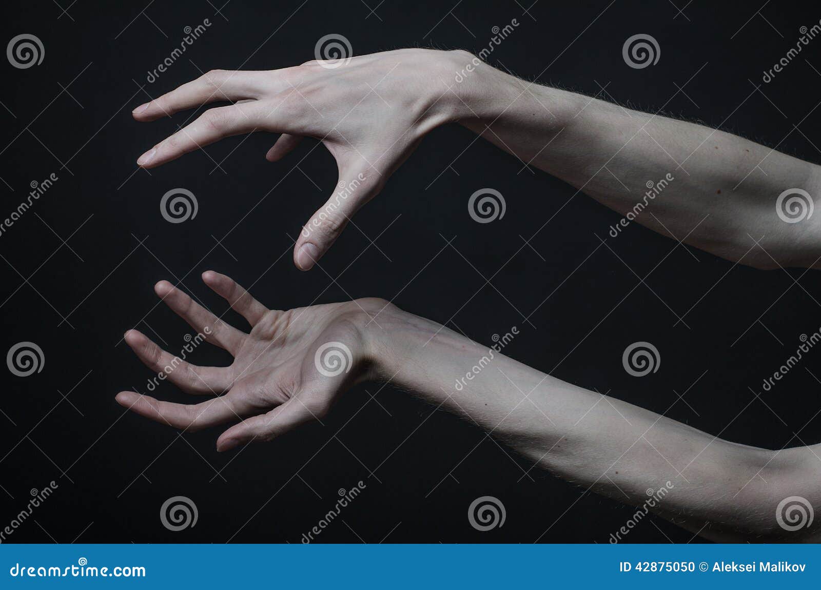death in her hands death in her hands