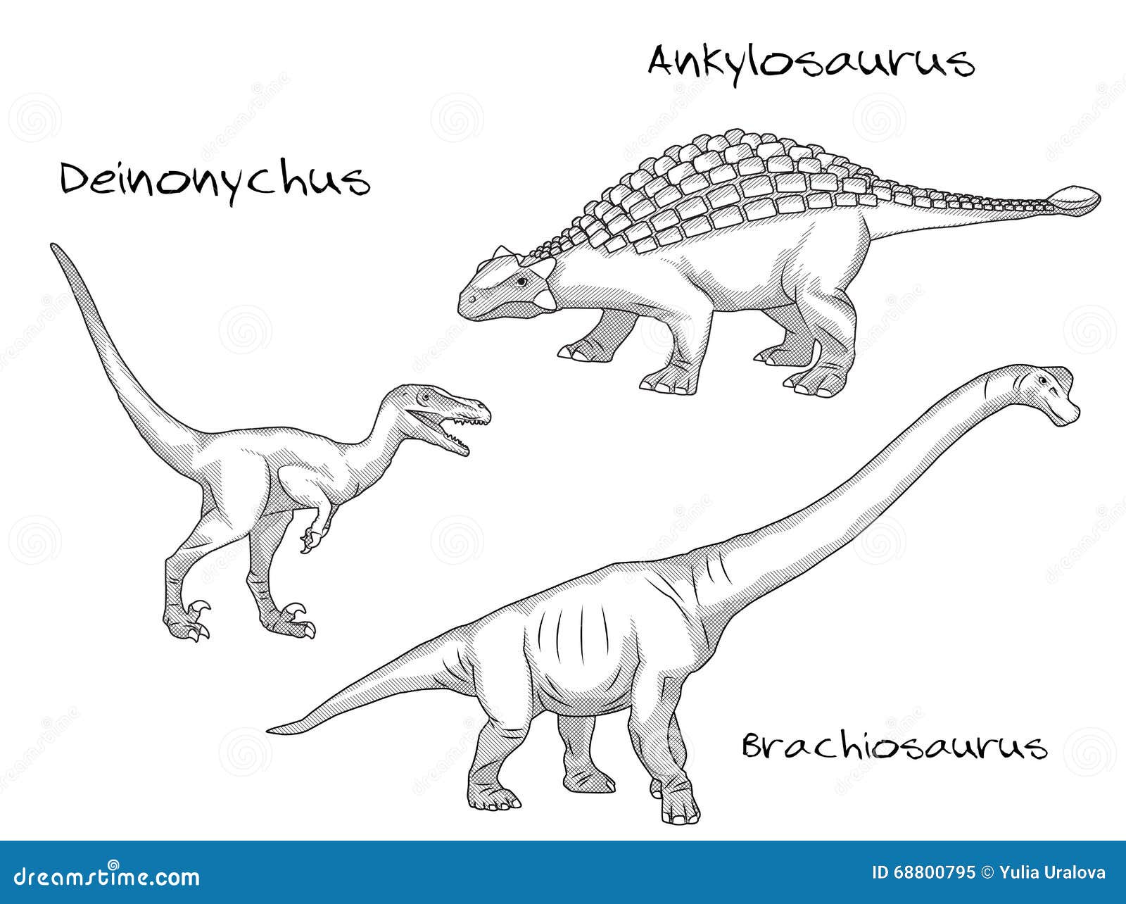 Deinonychus  Dinosaurland