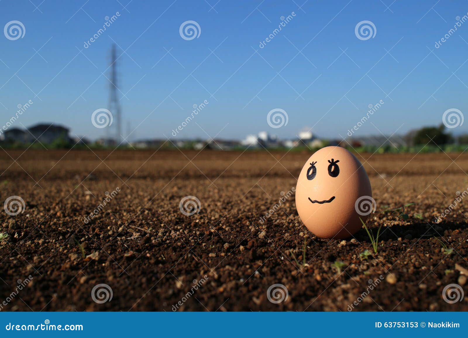 Thinking Egg Standing on the Soil Field Stock Image - Image of creativity,  isolated: 63753153