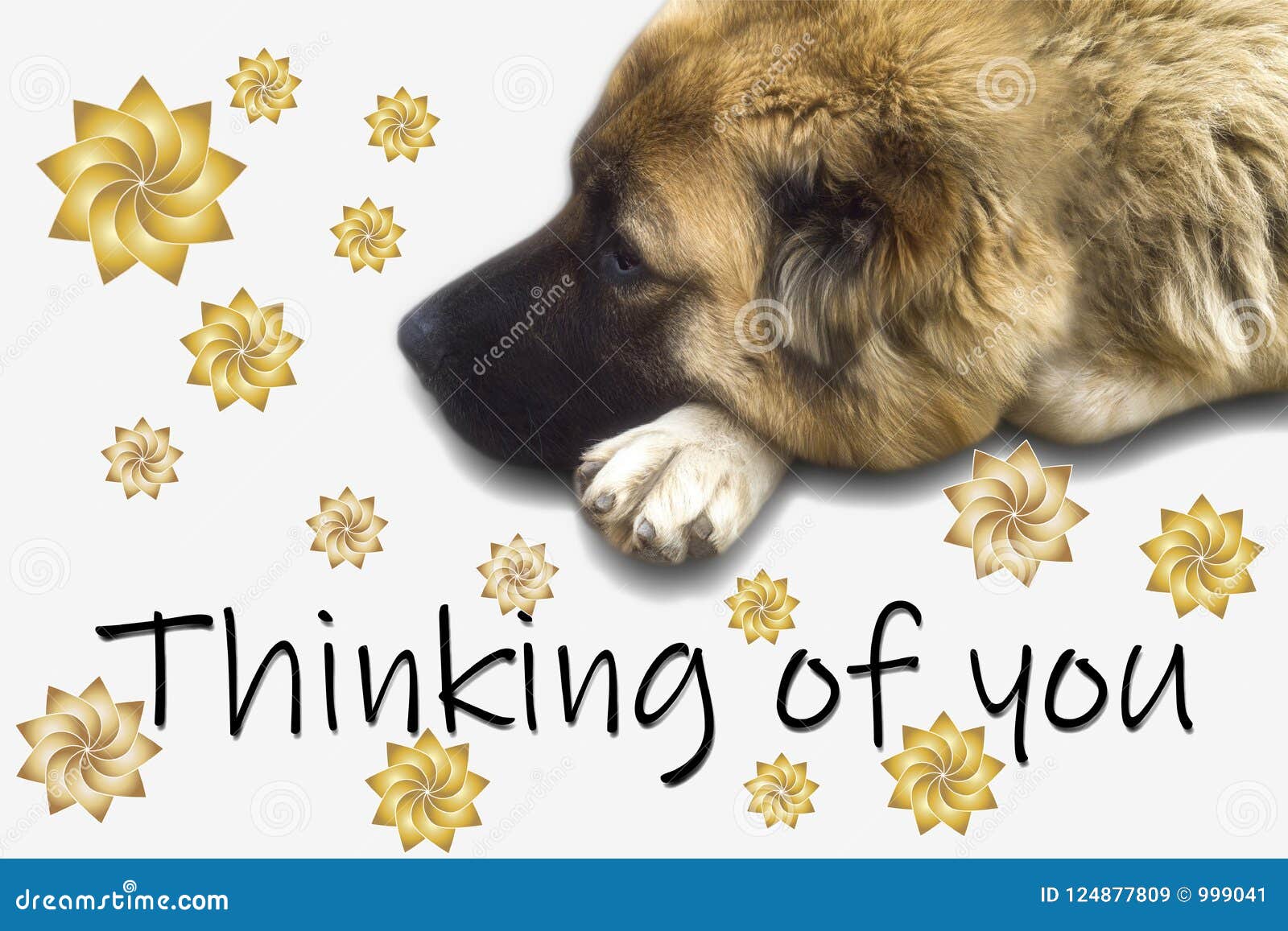 Thinking of you card stock image. Image of wildlife - 124877809 Thinking of you card stock image. Image of wildlife - 124877809