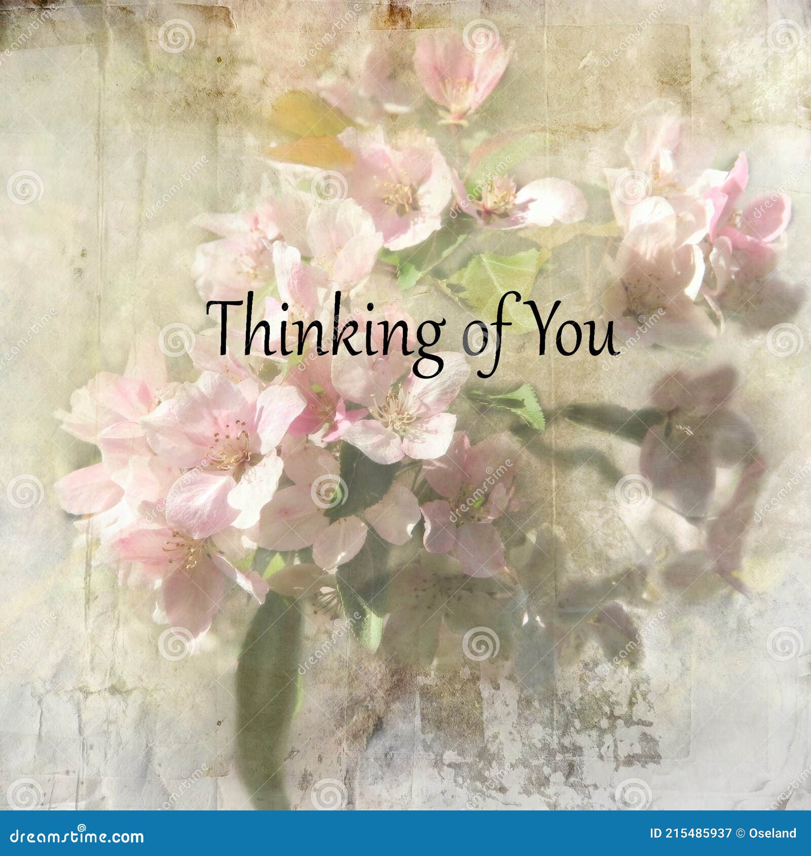 Textured Floral Petal Pink Thinking of You Card