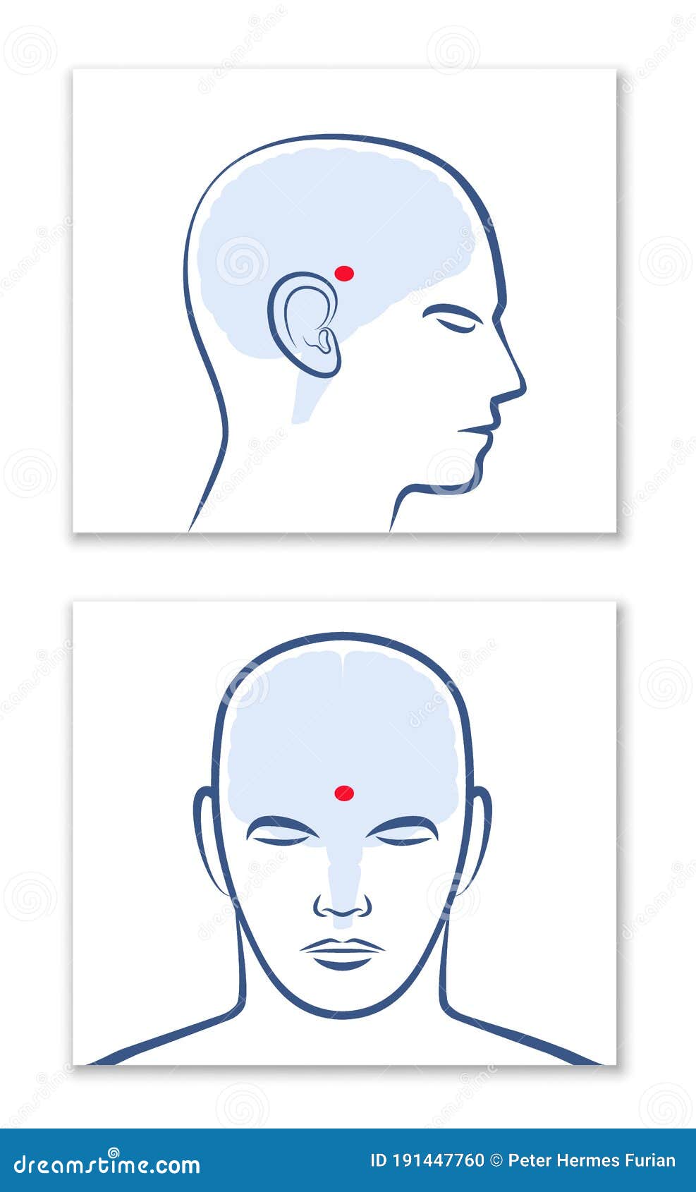 brain stem function and eye sight brain stem function and eye sight