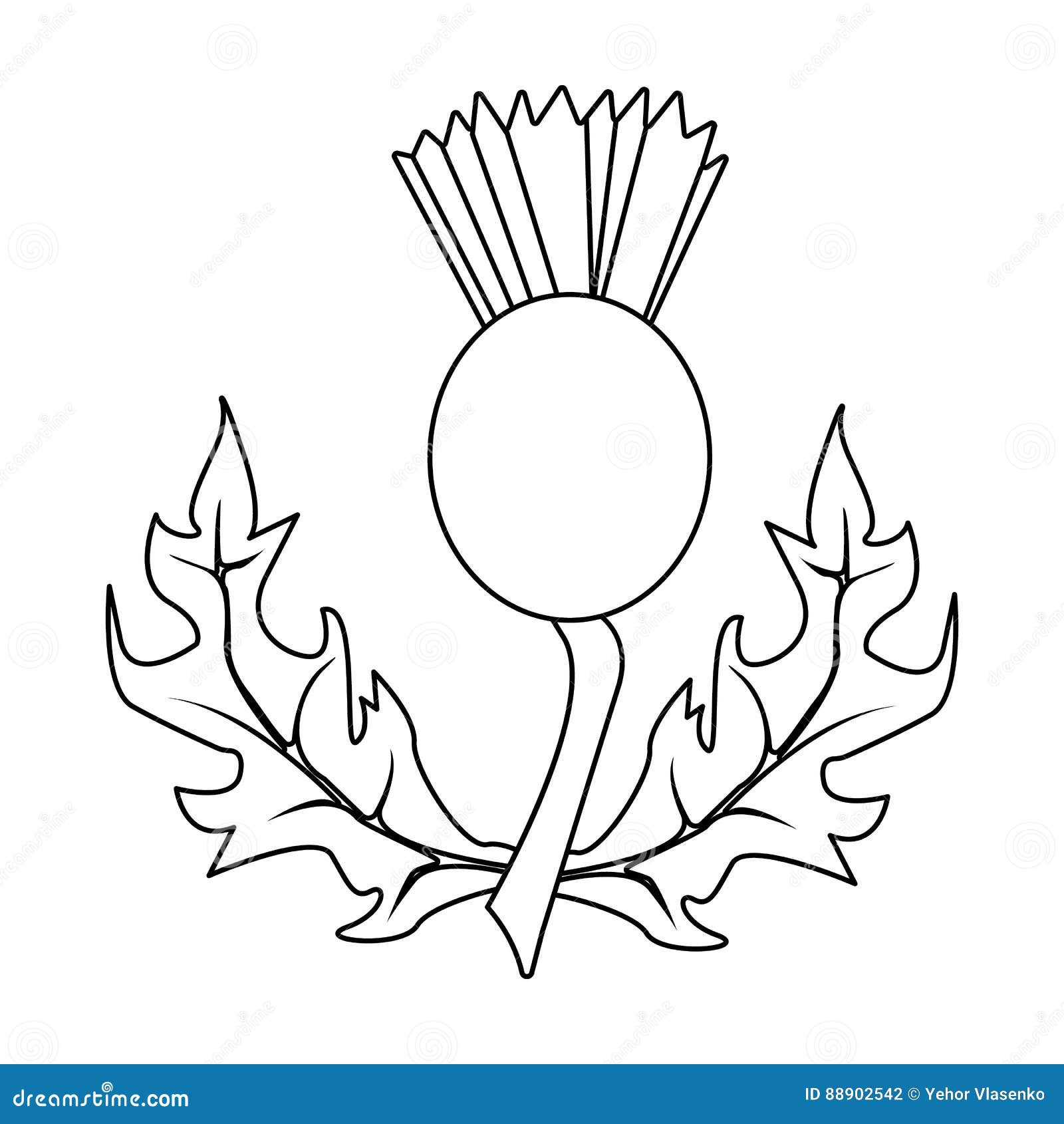 Download Thistles With Leaves.Medicinal Plant Of Scotland.Scotland Single Icon In Outline Style Vector ...