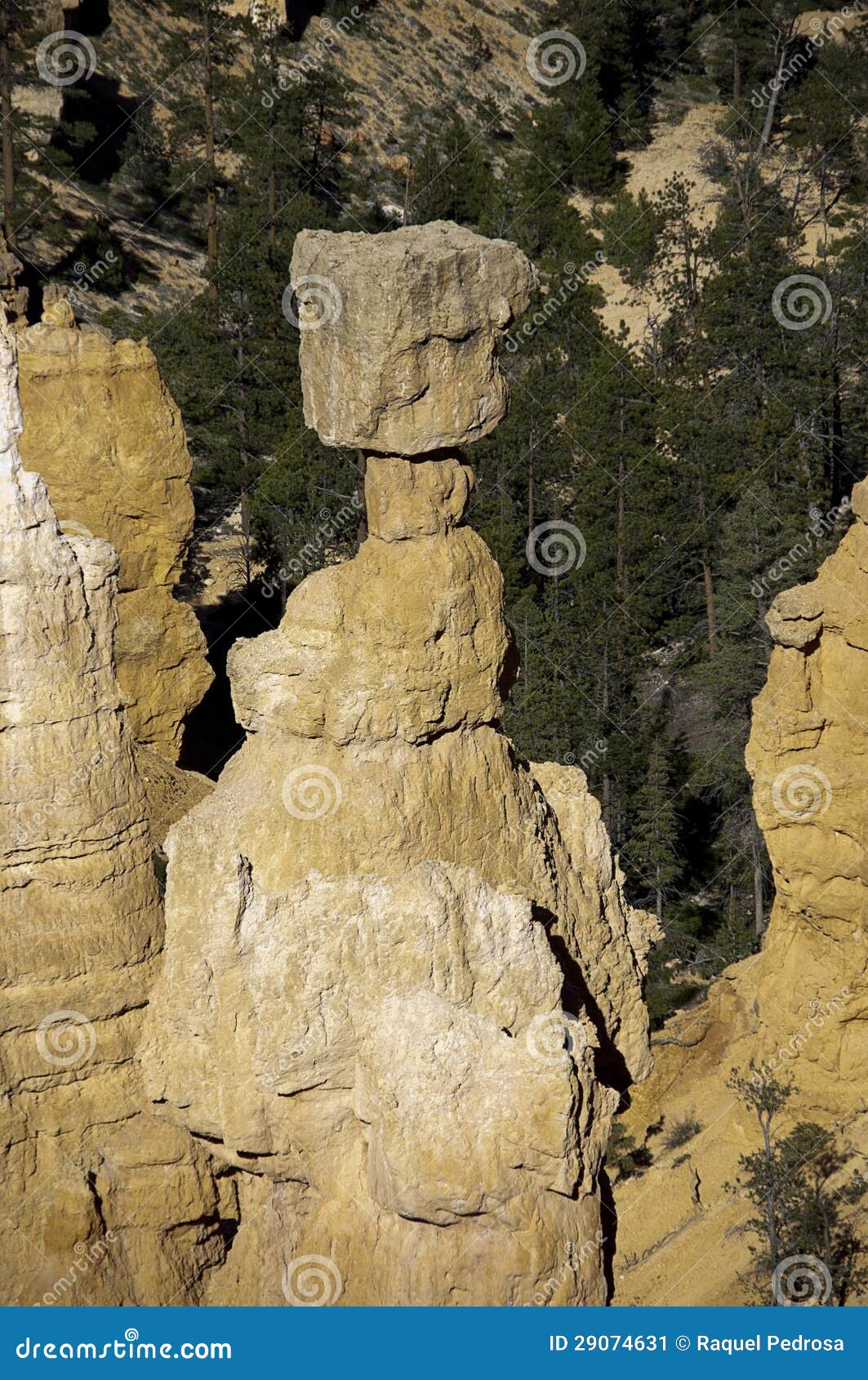 Thor s Hammer stock image. Image of desert, natural, park 29074631
