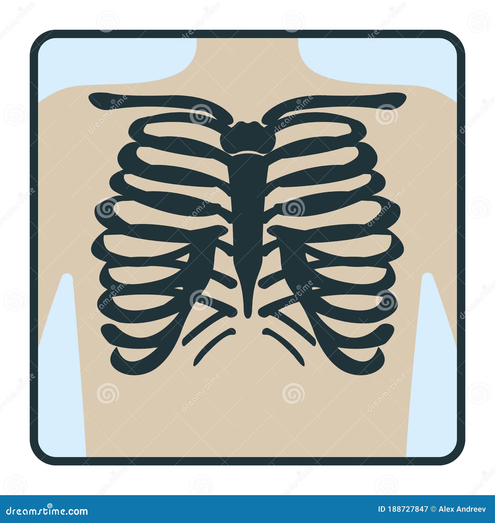 Thoracic Cage Bone, Chest X-ray Concept Icon, Roentgen Human Body Image  Isolated on White, Flat Vector Illustration. Skeleton Part Stock Vector -  Illustration of medical, chest: 188727847