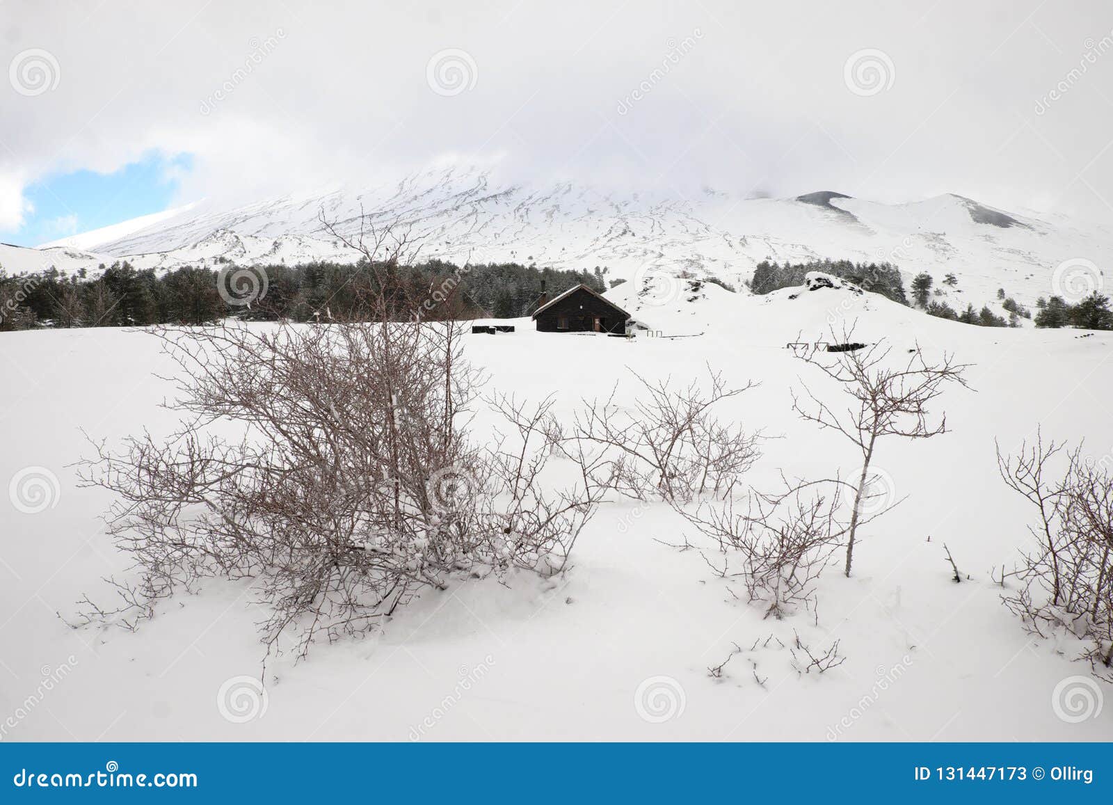 thorn bushes in snow capped galvarina plateau, on backgrounf blurred refuge