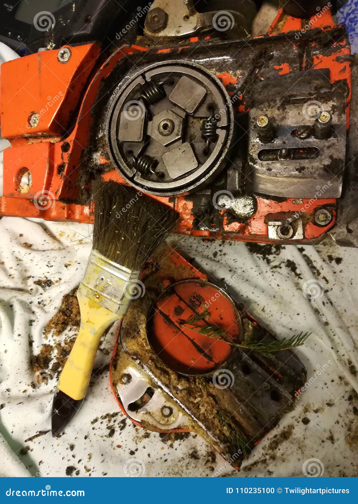 Thorough Cleaning of the Chainsaw Stock Photo Image of gasoline