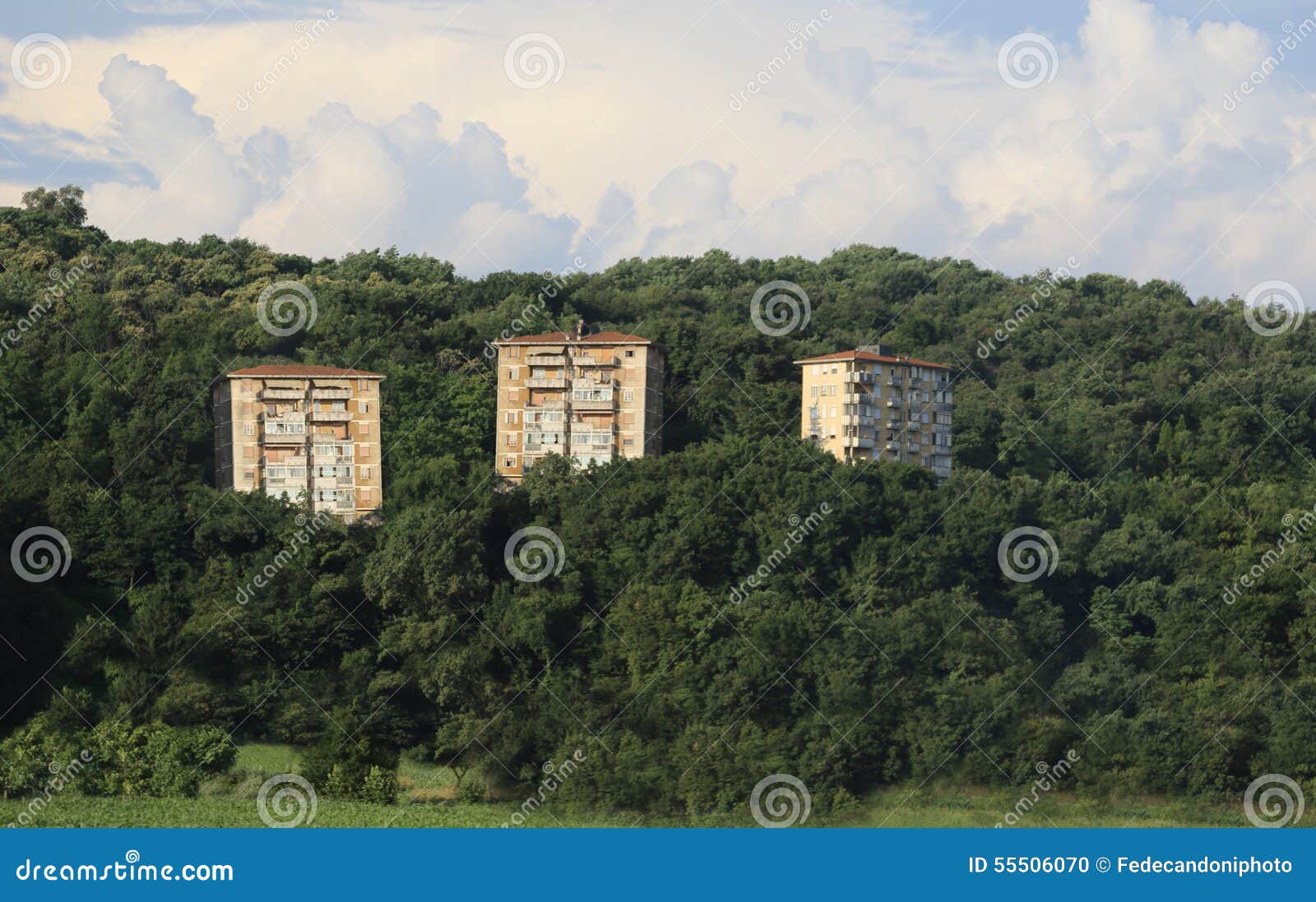 three abusive houses on a hill in the woods