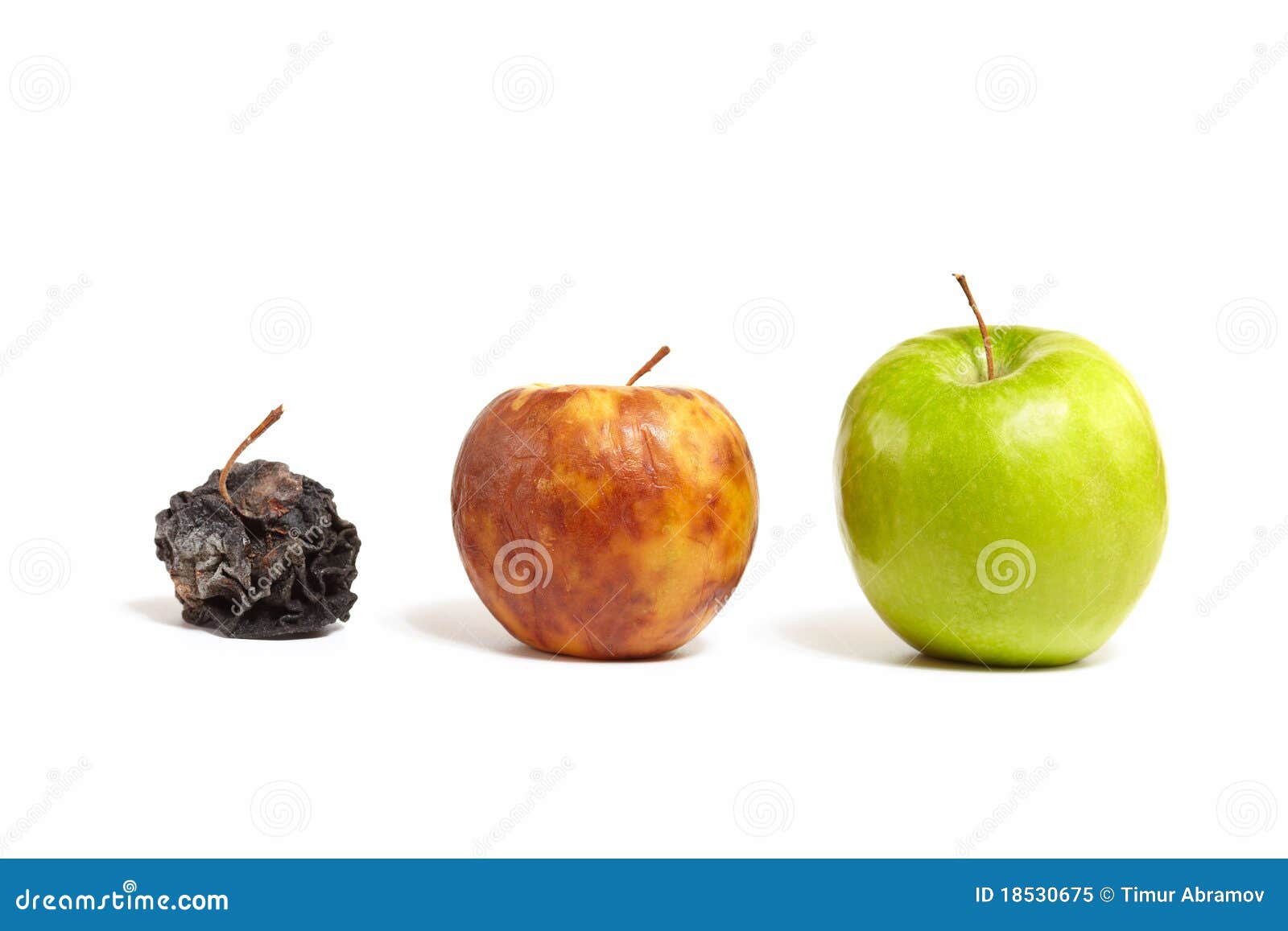 three apples: fresh, rotting and dead