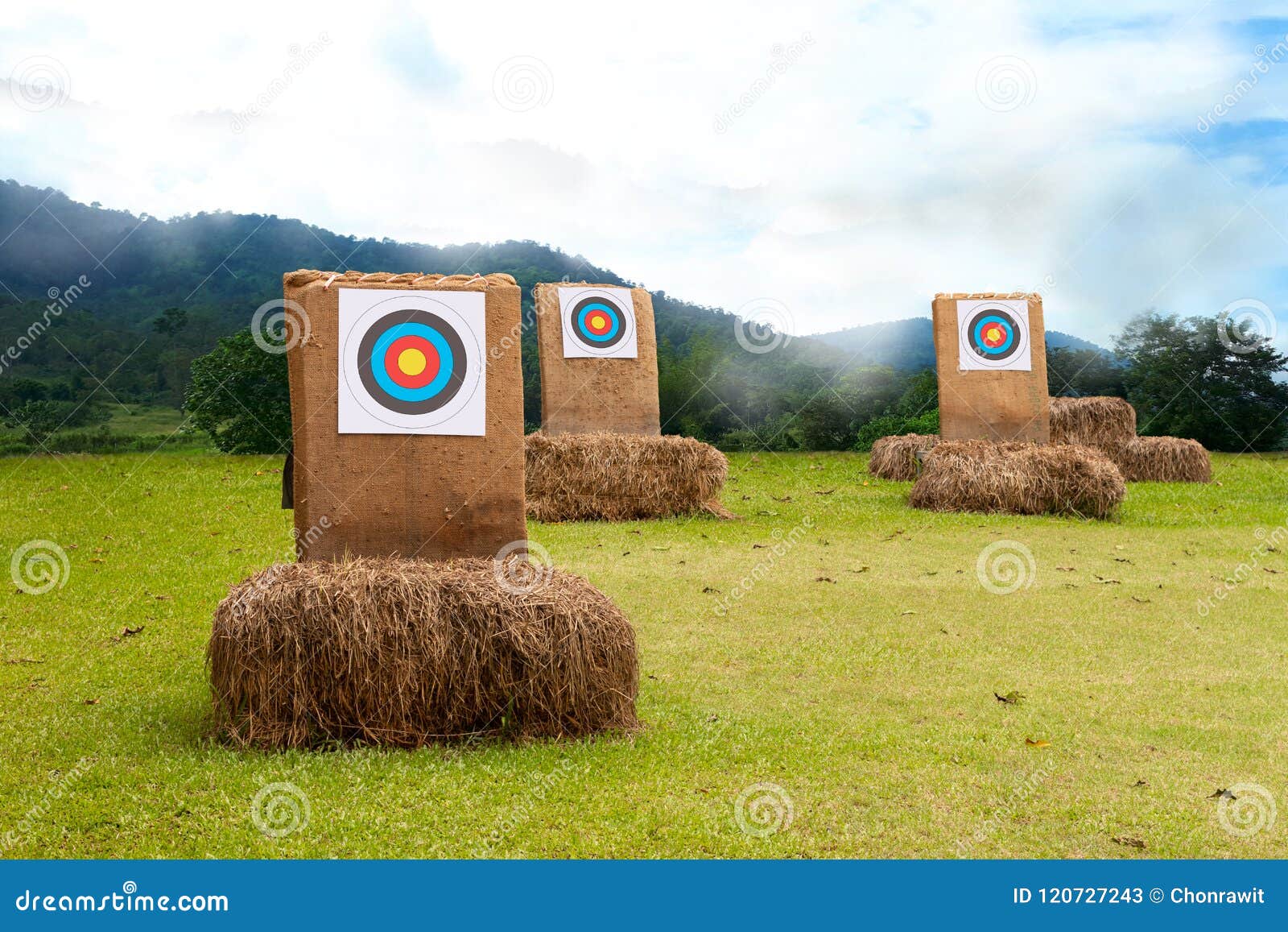 three archery target on the field