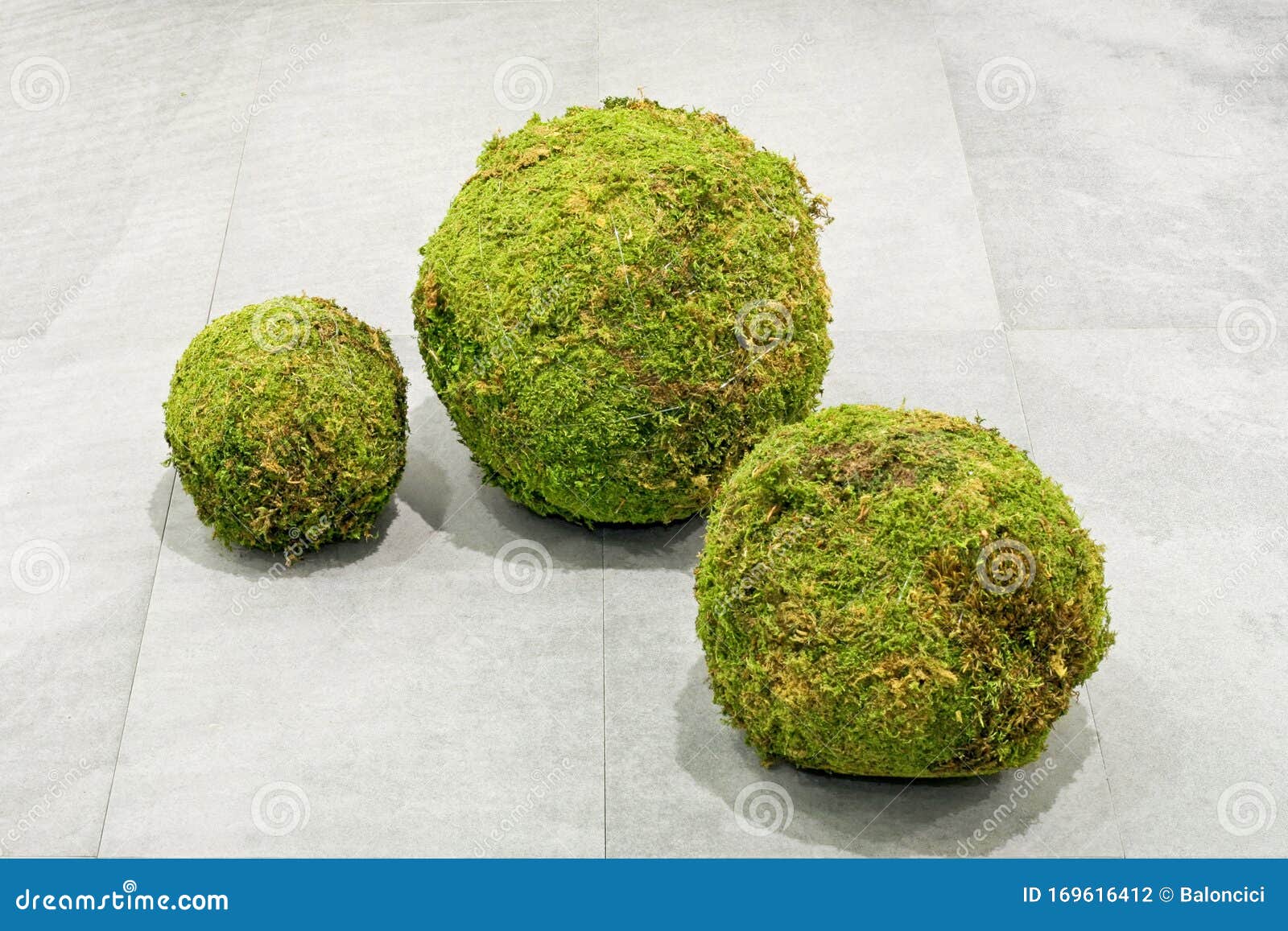 Grass balls stock photo. Image of nature, sphere, grass 169616412