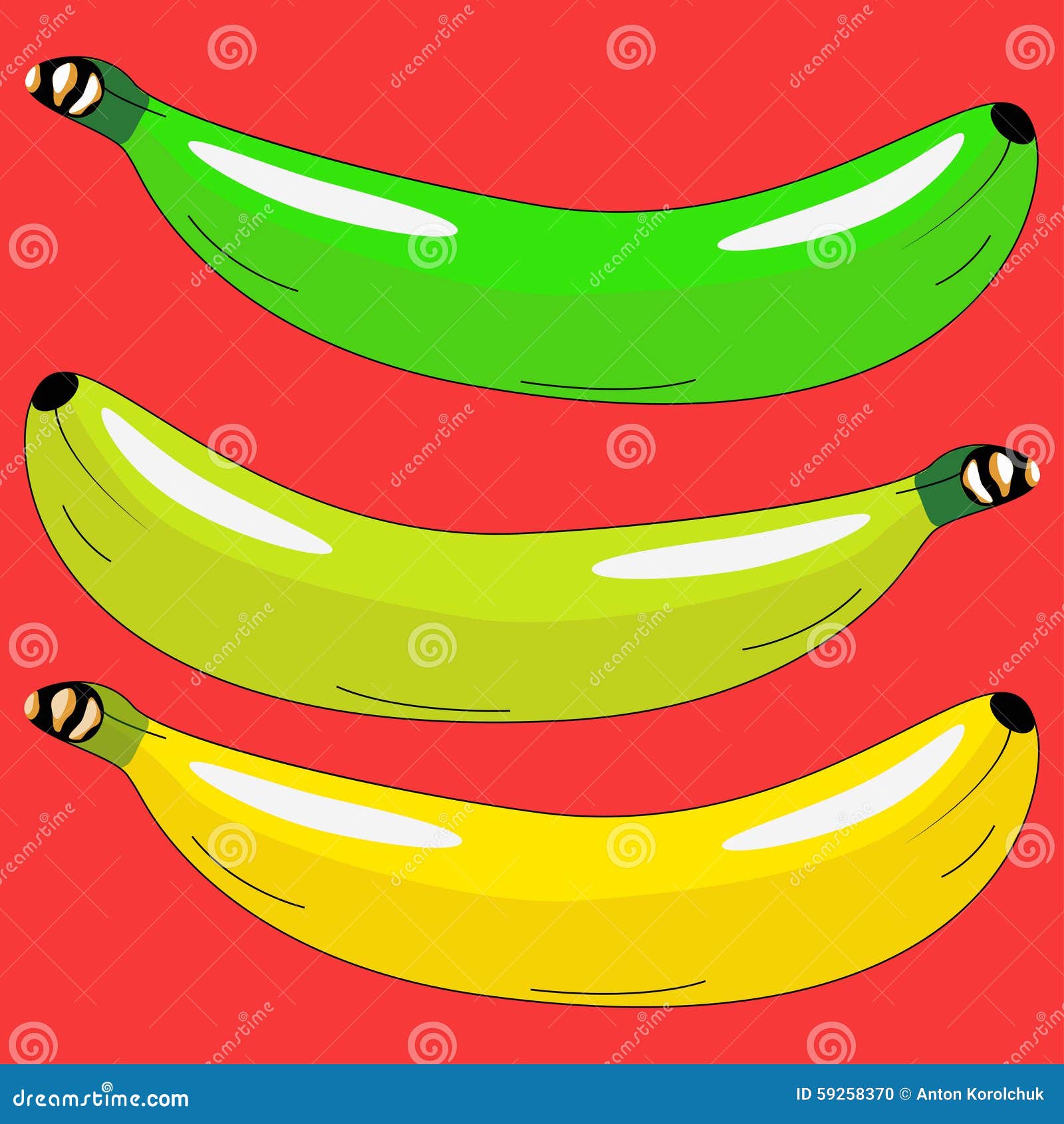 Three Bananas In Different Colors Stock Illustration Illustration Of