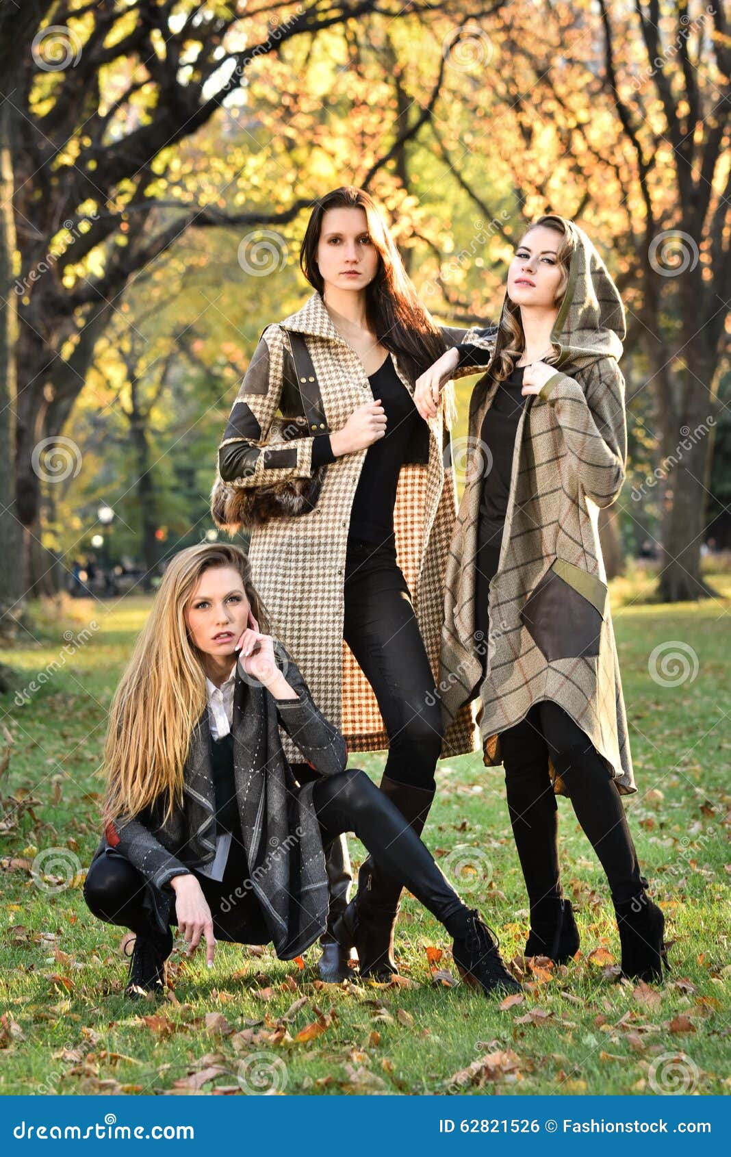 Three Beautiful Young Models in Autumn Elegant Clothes Posing at Central  Park. Stock Photo - Image of autumn, nature: 62821526