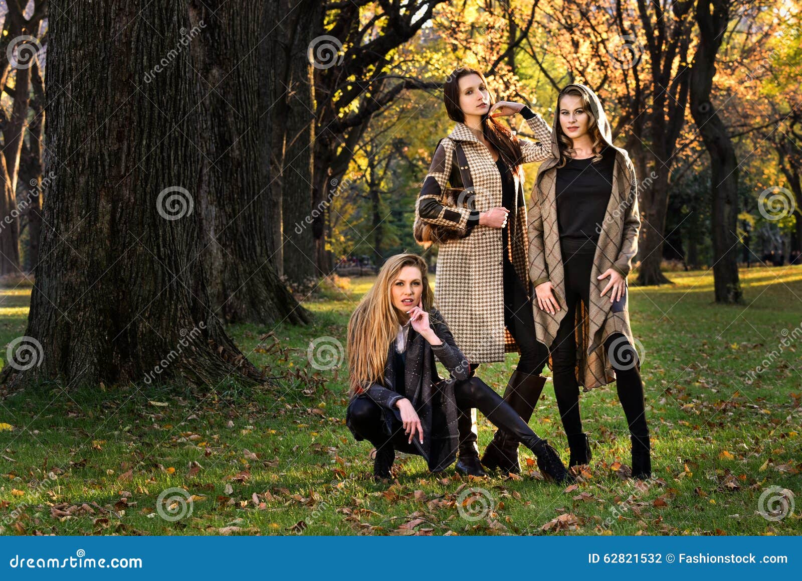 Three Beautiful Young Models in Autumn Elegant Clothes Posing at Central  Park. Stock Photo - Image of makeup, blond: 62821532