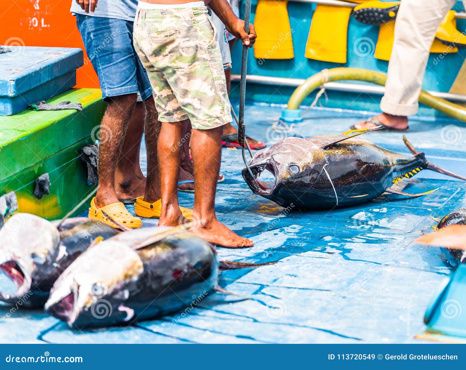 In the Maldives, the Virtues and Limitations of Pole-and-Line Tuna Fishing